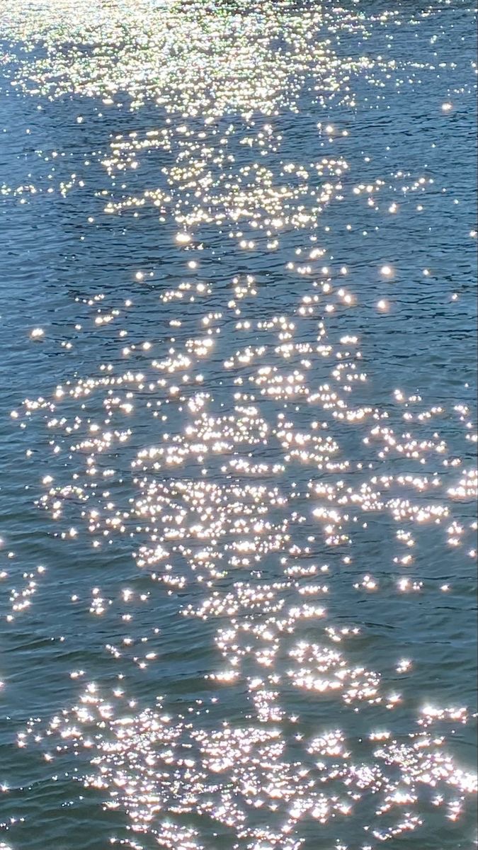 nidhi (mialuvr.lens) Lens social identity (.lens handle) PFP