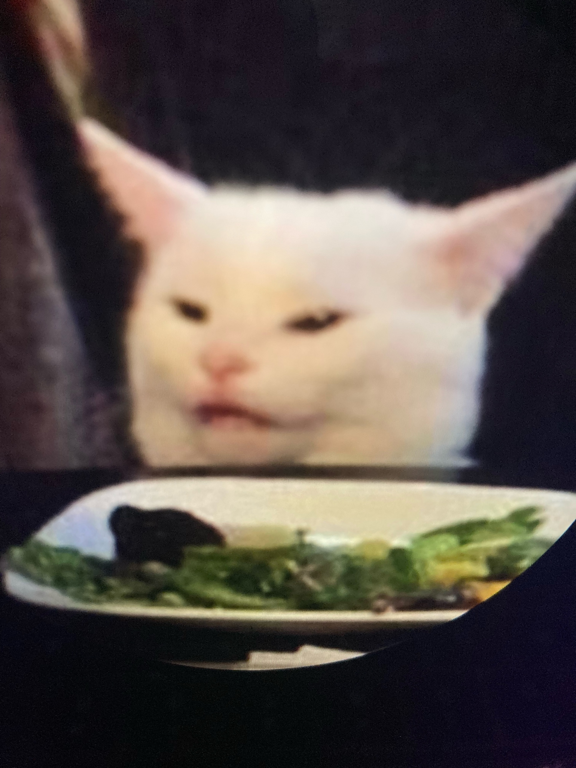 kook (kook99.lens) Lens social identity (.lens handle) PFP