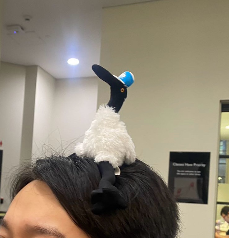 Franklynefang (franklynefang.lens) Lens social identity (.lens handle) PFP