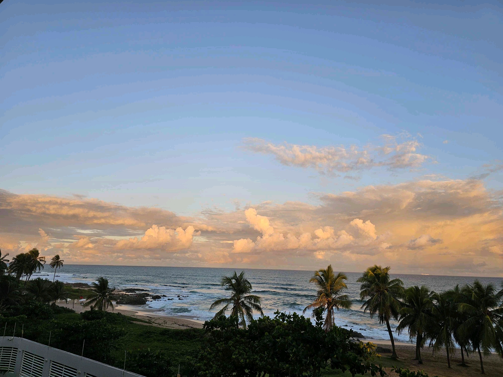 Jurgen (fleischer.lens) Lens social identity (.lens handle) PFP