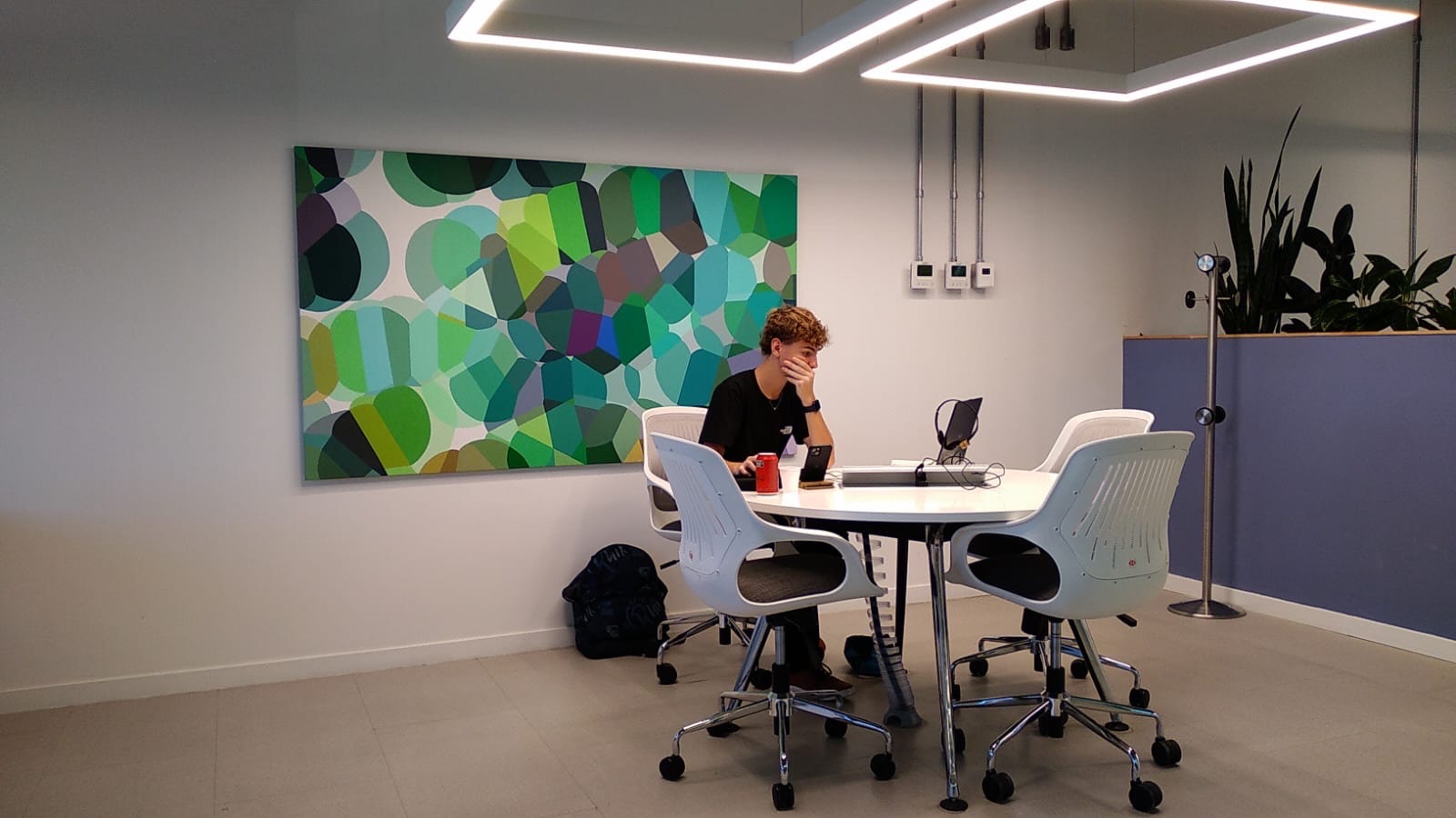 Tomás (tommydreyy.lens) Lens social identity (.lens handle) PFP