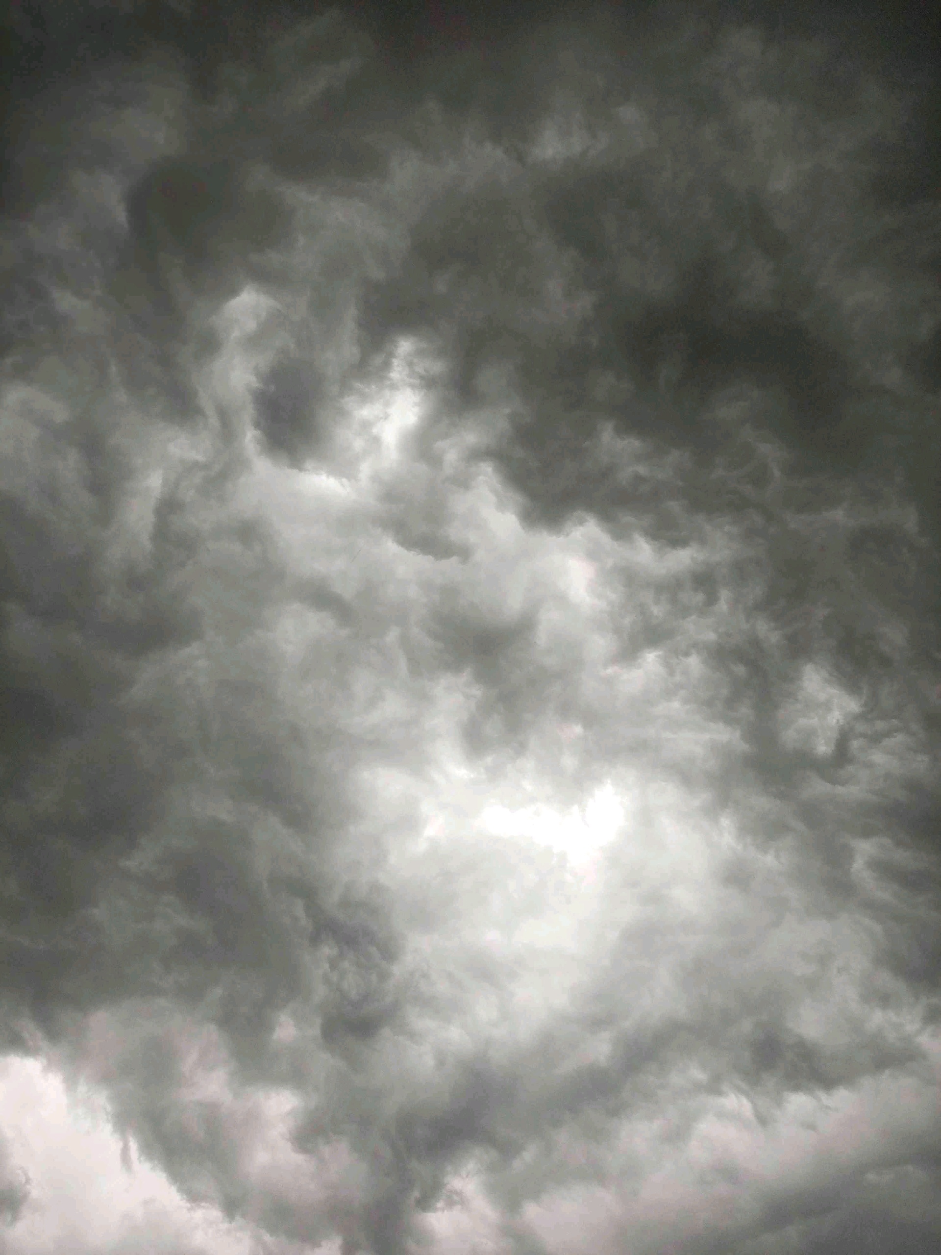 SyedG (syedg.lens) Lens social identity (.lens handle) PFP