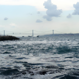 生火 (sabanci.lens) Lens social identity (.lens handle) PFP