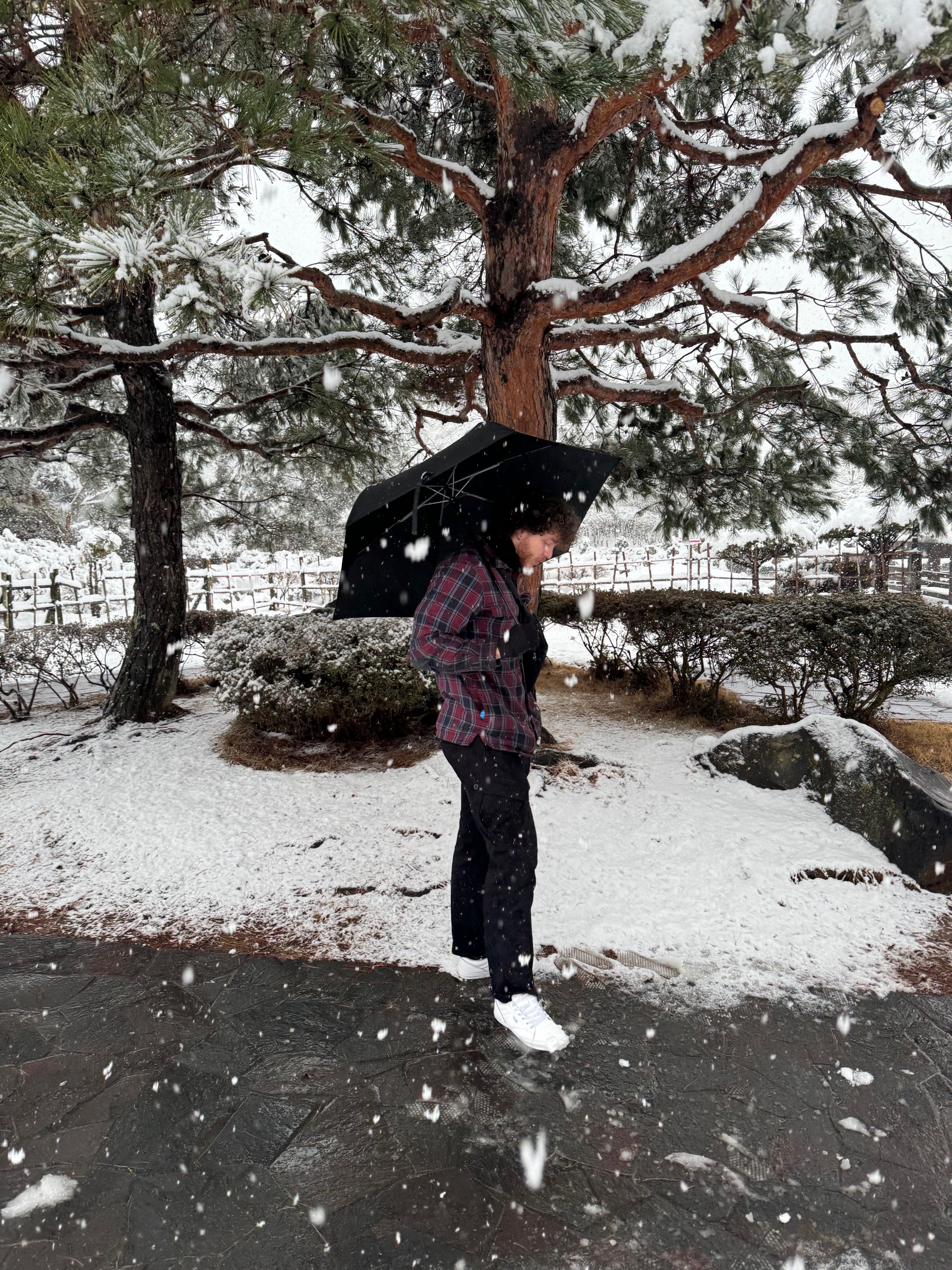 Noah (noahwear.lens) Lens social identity (.lens handle) PFP