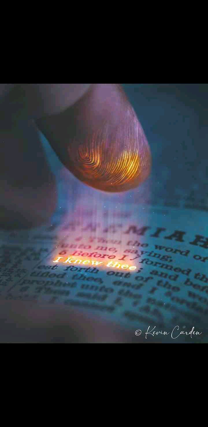 Chibuike (evagreen.lens) Lens social identity (.lens handle) PFP