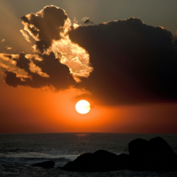 dollarbranch (dollartree.lens) Lens social identity (.lens handle) PFP