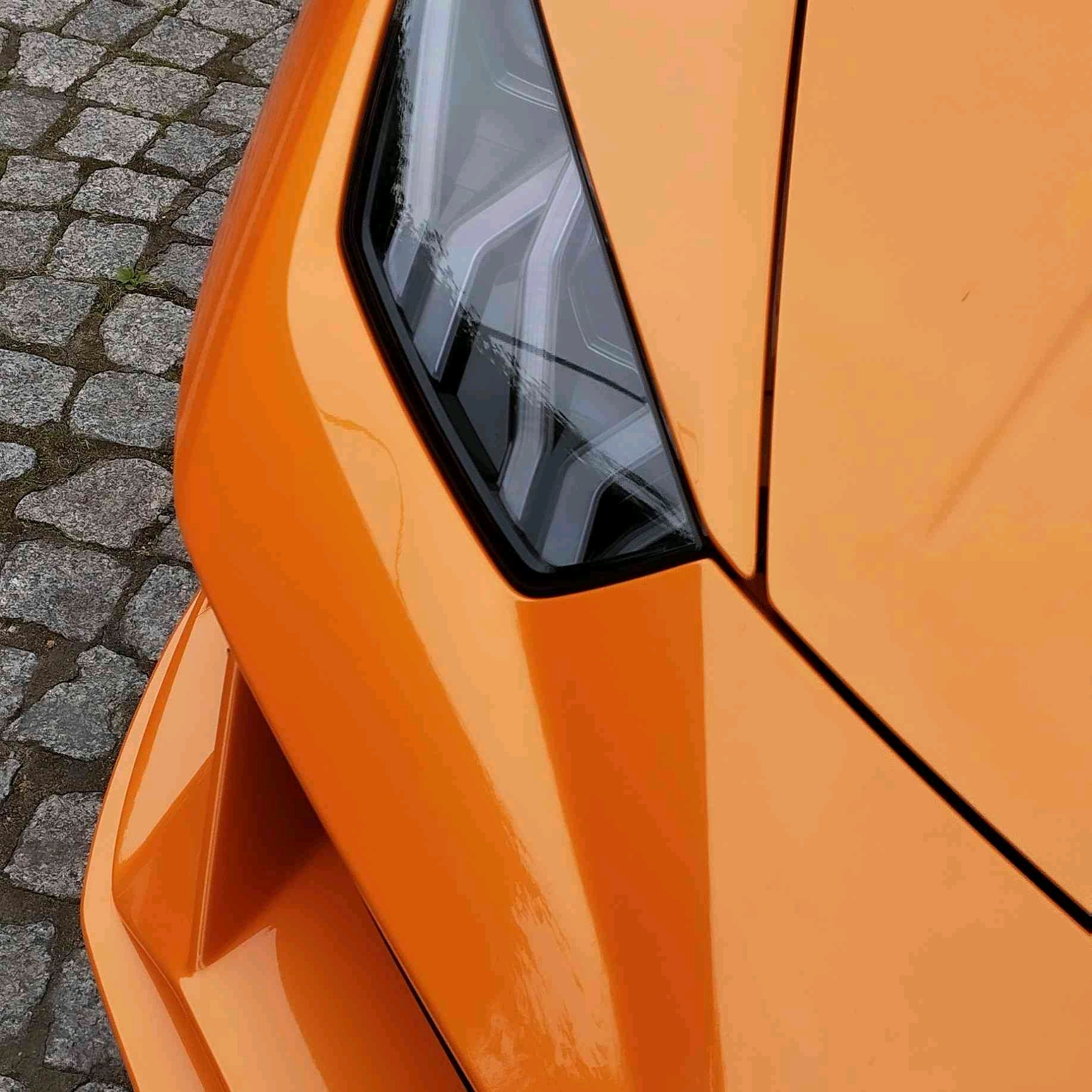 Piter Spotter (piterspotter.lens) Lens social identity (.lens handle) PFP