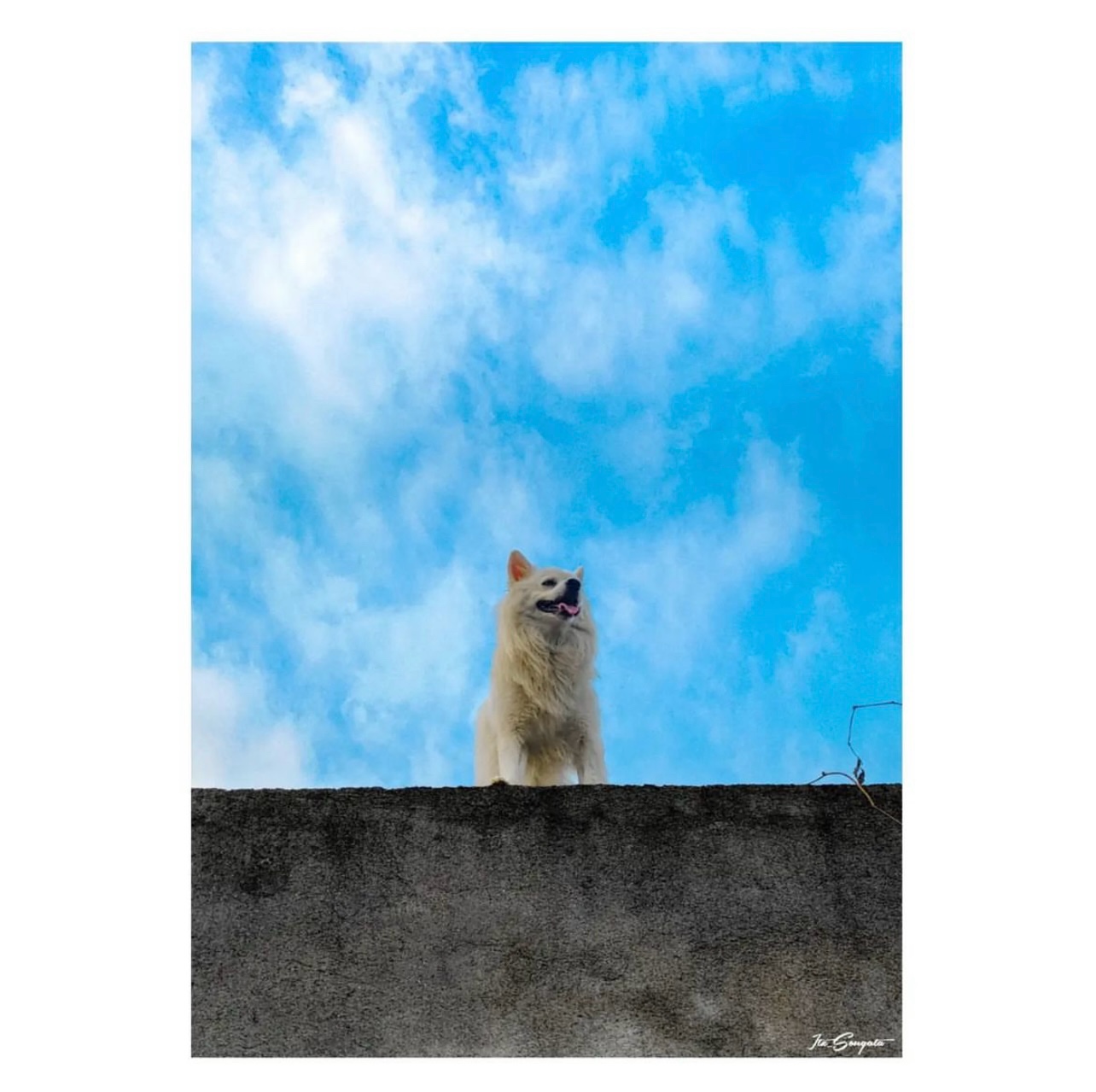 0xjan (0xjaan.lens) Lens social identity (.lens handle) PFP