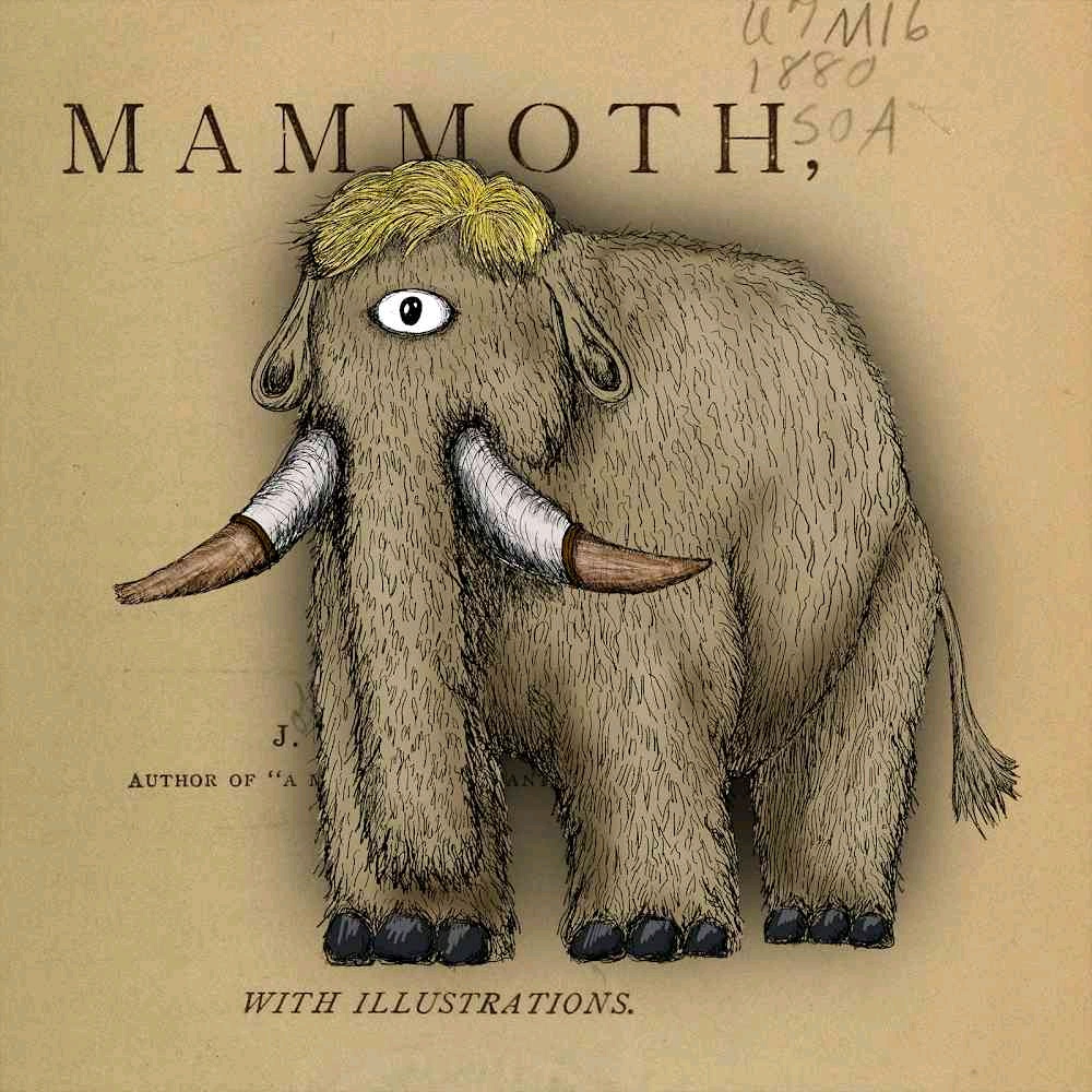 TheRonin (theronin.lens) Lens social identity (.lens handle) PFP