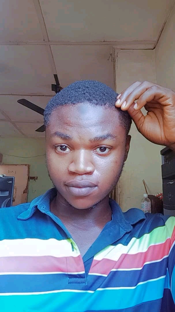 Ademoh Abdulrazak (4din0yi.lens) Lens social identity (.lens handle) PFP