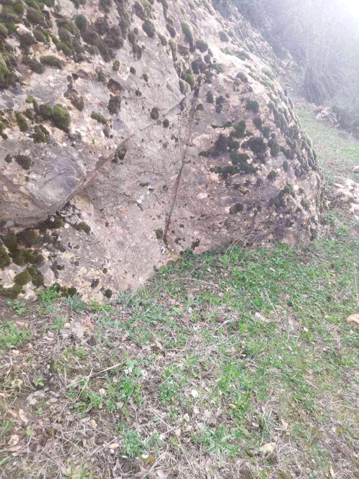 djilalj (djilali.lens) Lens social identity (.lens handle) PFP