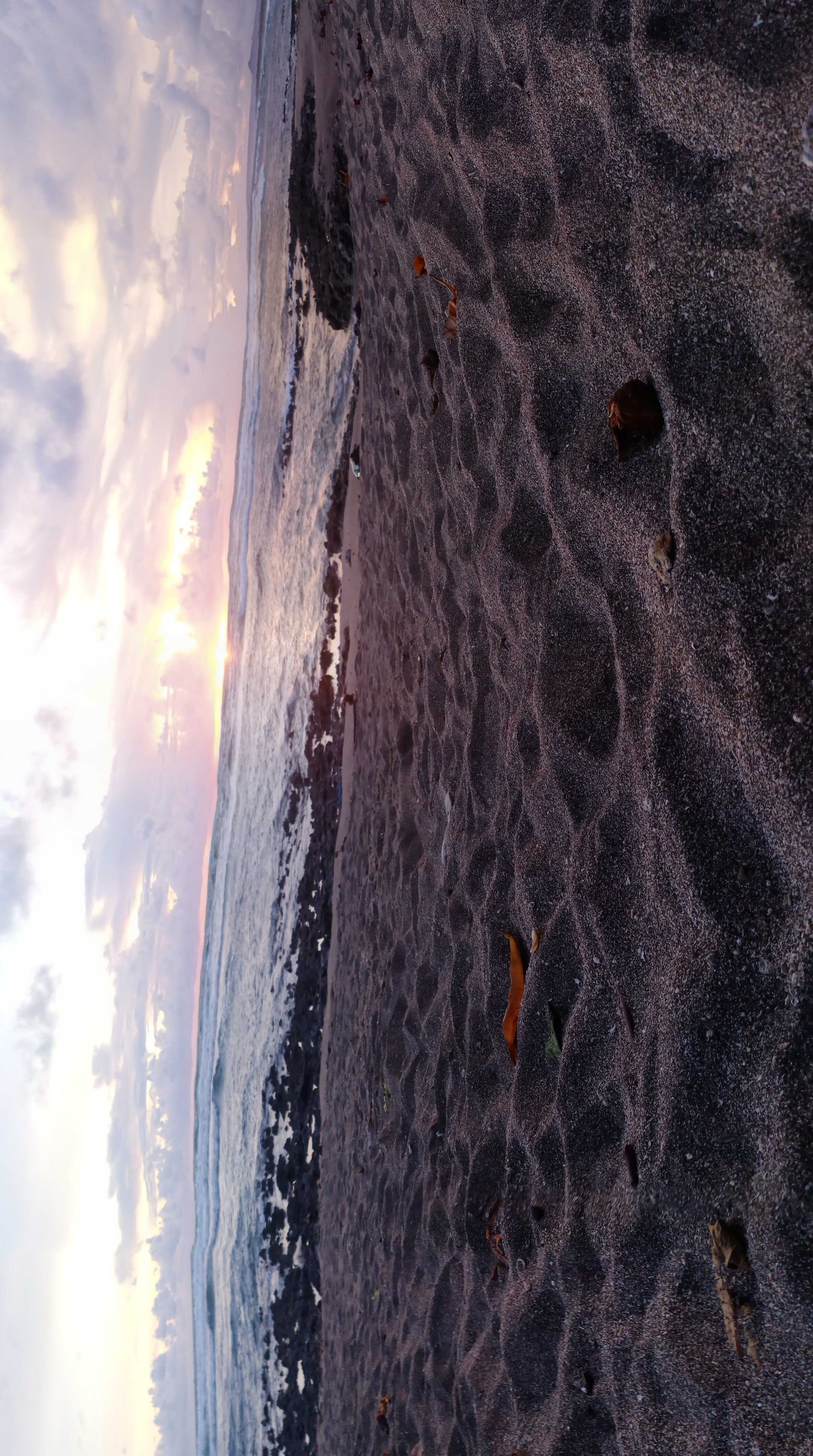 x1 (web3z1.lens) Lens social identity (.lens handle) PFP