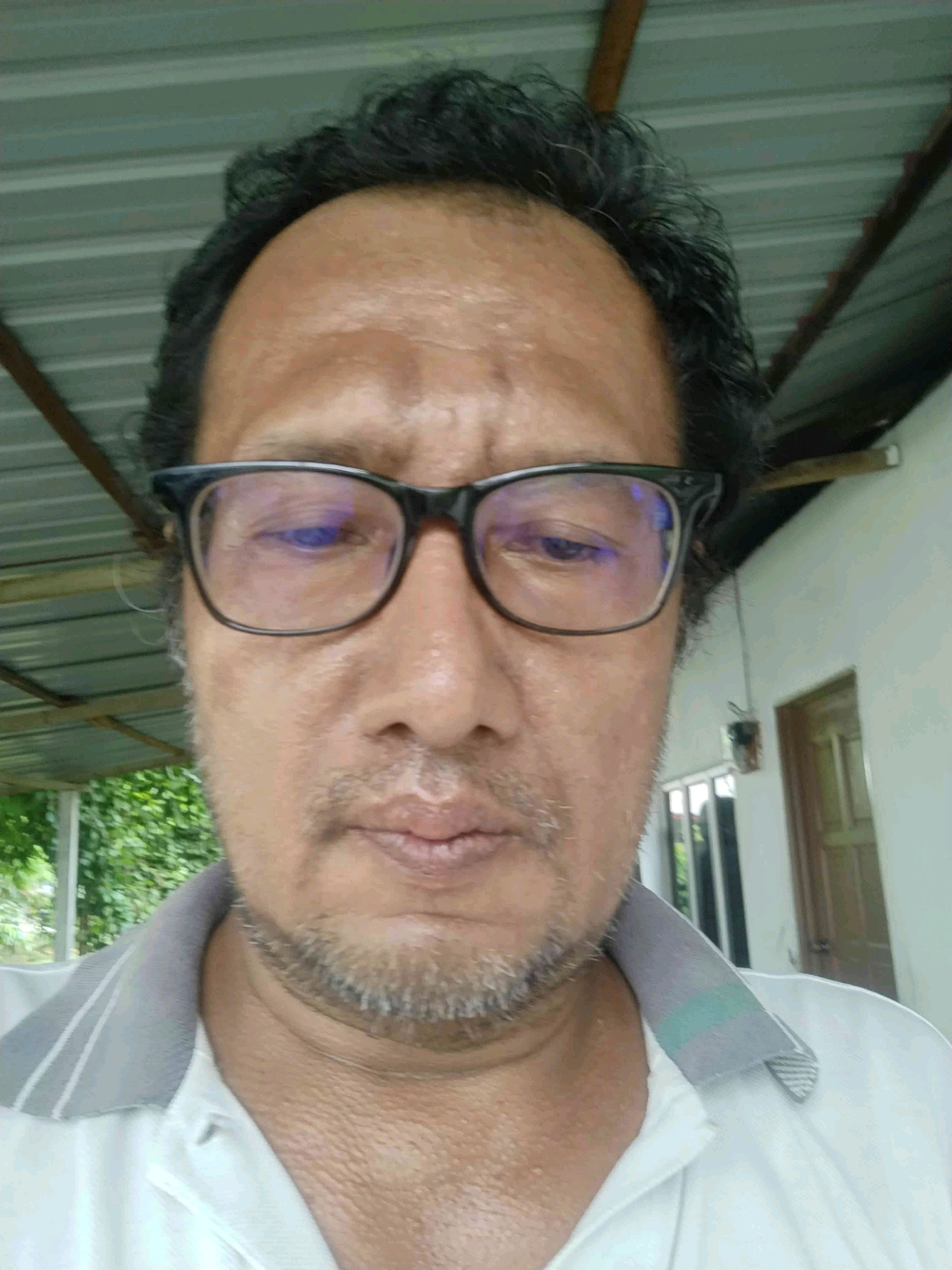 sibtrx (sibtrx.lens) Lens social identity (.lens handle) PFP