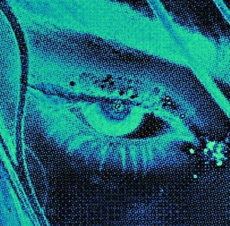 Alex (whoisalex.lens) Lens social identity (.lens handle) PFP