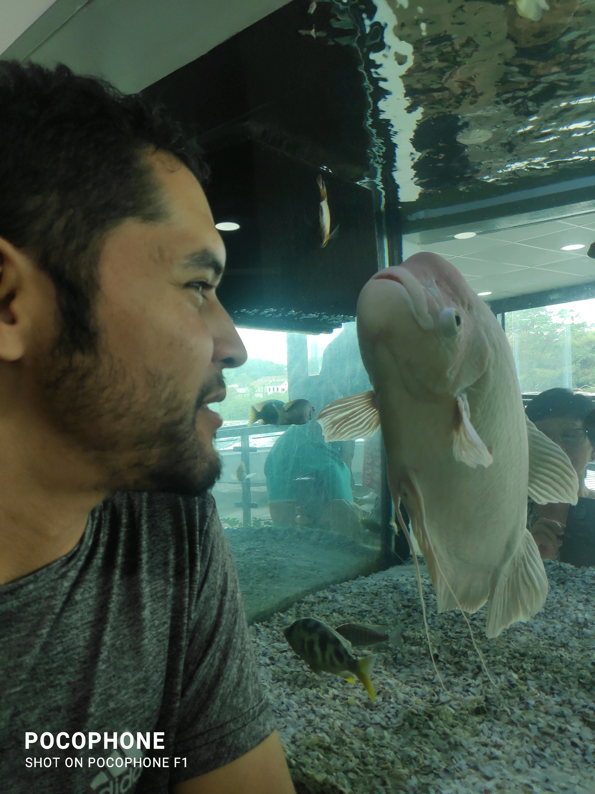 Alex Oliveira (aoliveira.lens) Lens social identity (.lens handle) PFP