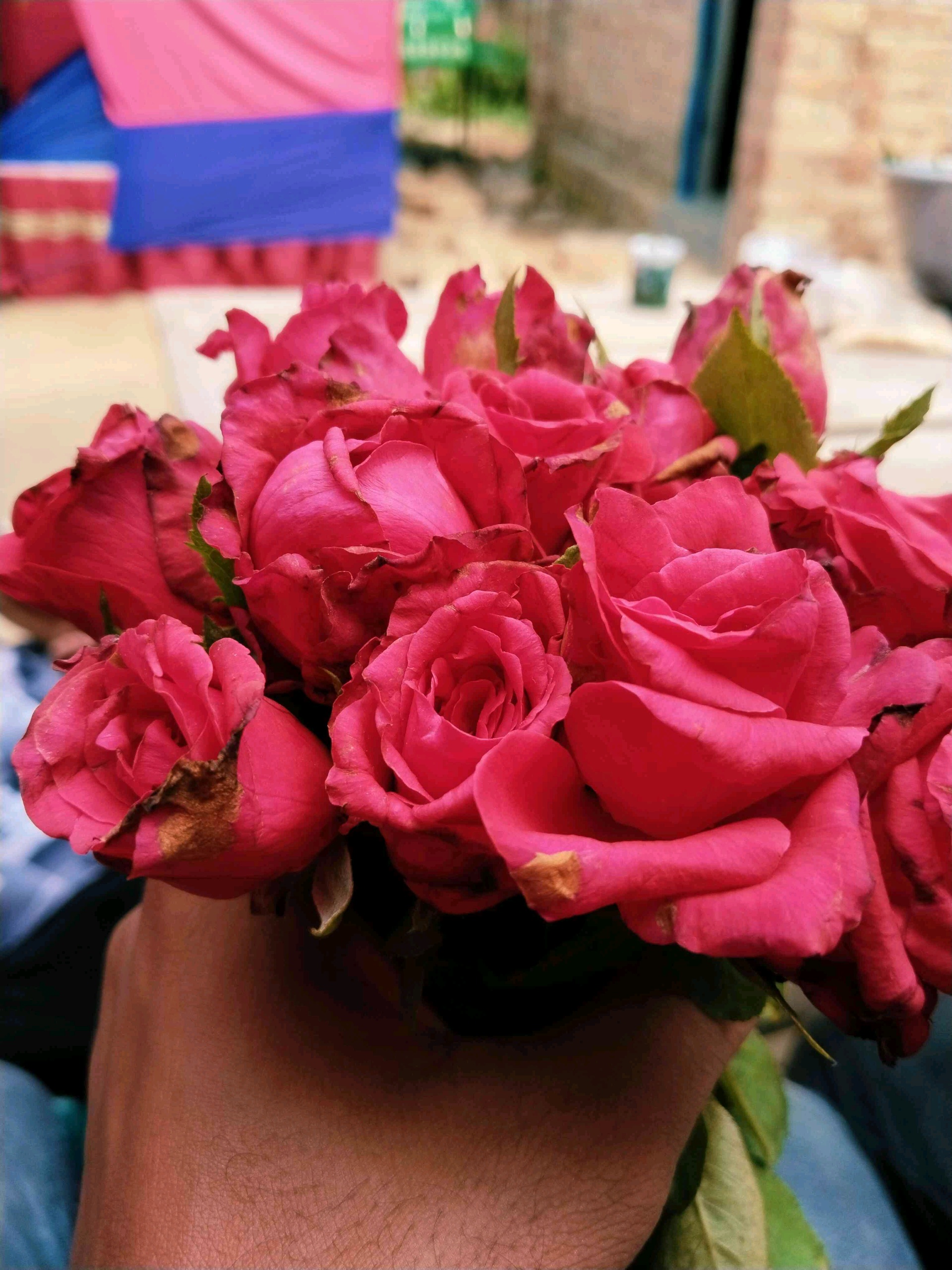 sharmin (famsa.lens) Lens social identity (.lens handle) PFP