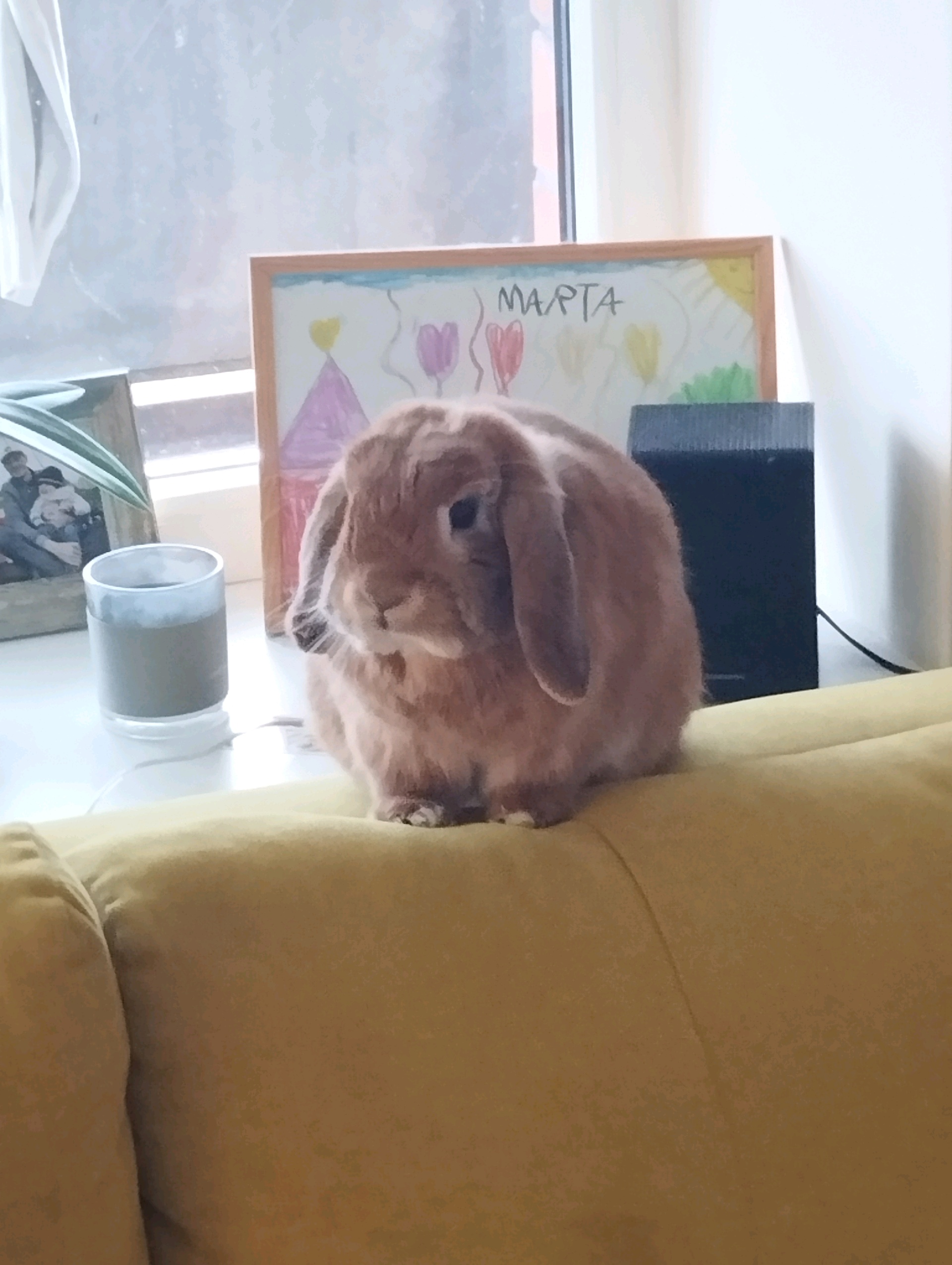 Gson (gsoon.lens) Lens social identity (.lens handle) PFP