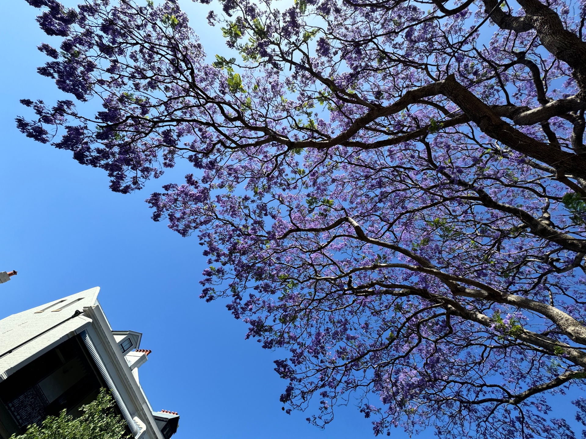 bitmaxiamask (bitmaxiamask.lens) Lens social identity (.lens handle) PFP