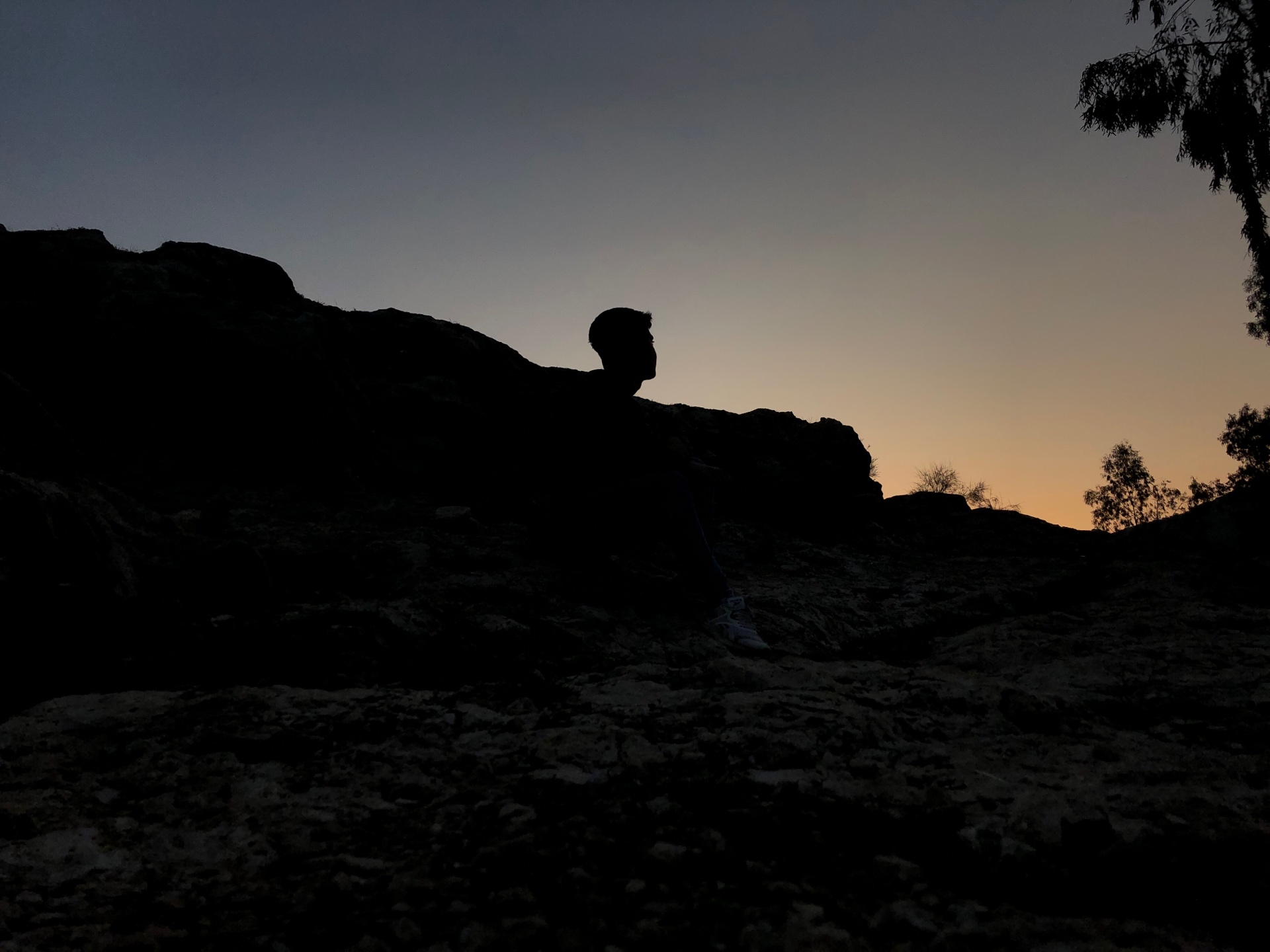 arashk (arashktrader.lens) Lens social identity (.lens handle) PFP