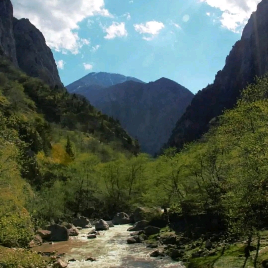 vapour.lens Lens social identity (.lens handle) PFP