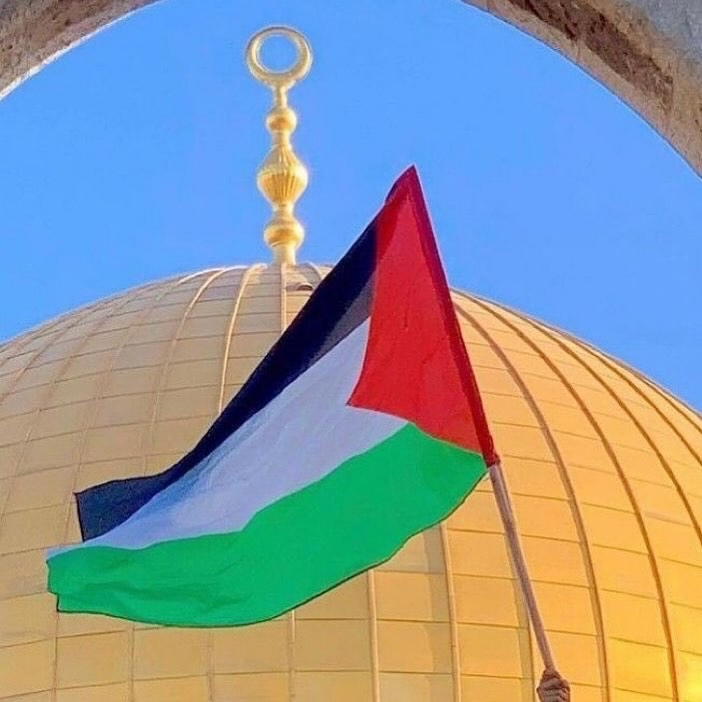 Shamkhan (muradovich.lens) Lens social identity (.lens handle) PFP