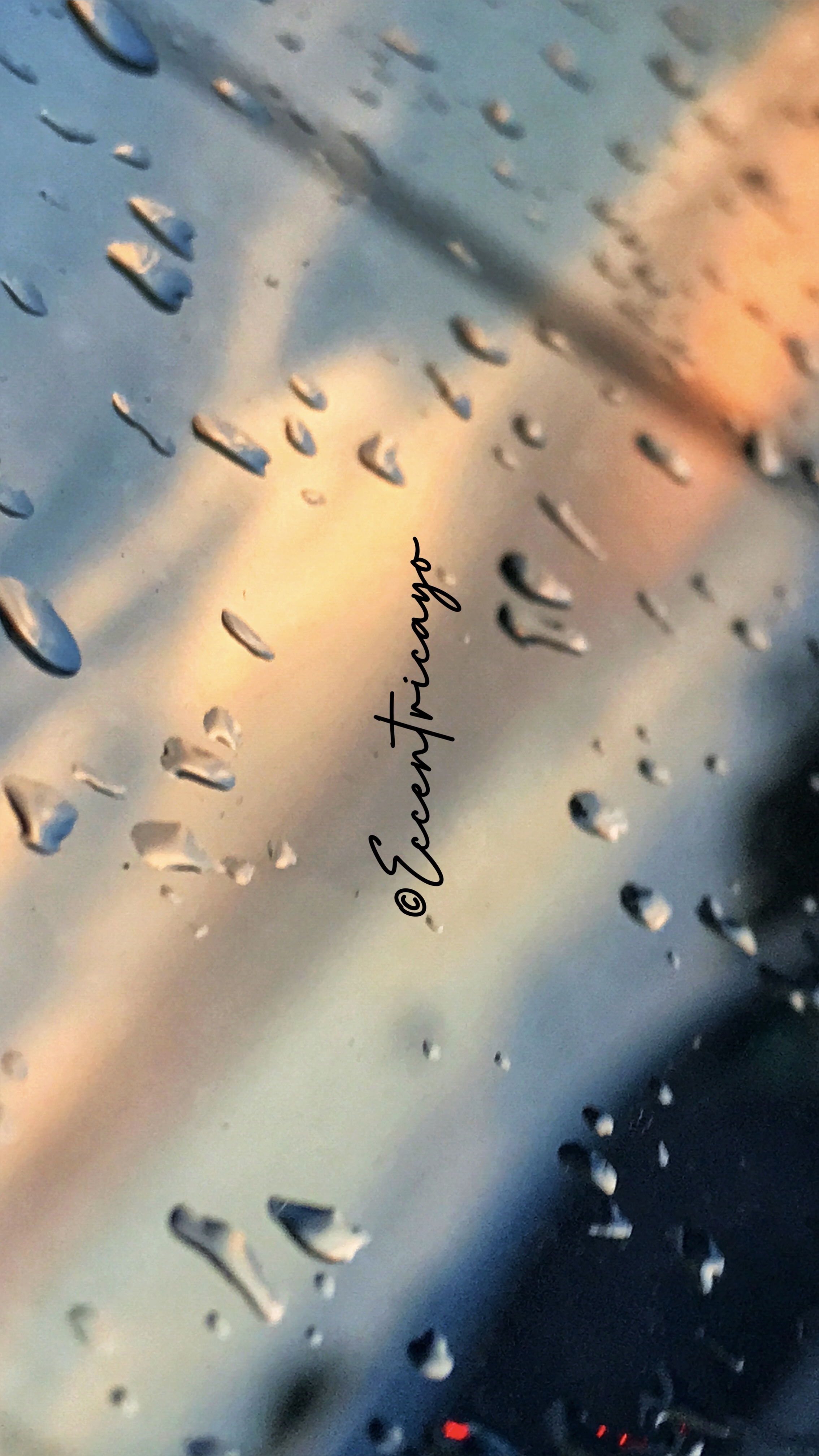 Eccentricayo (eccentricayo.lens) Lens social identity (.lens handle) PFP