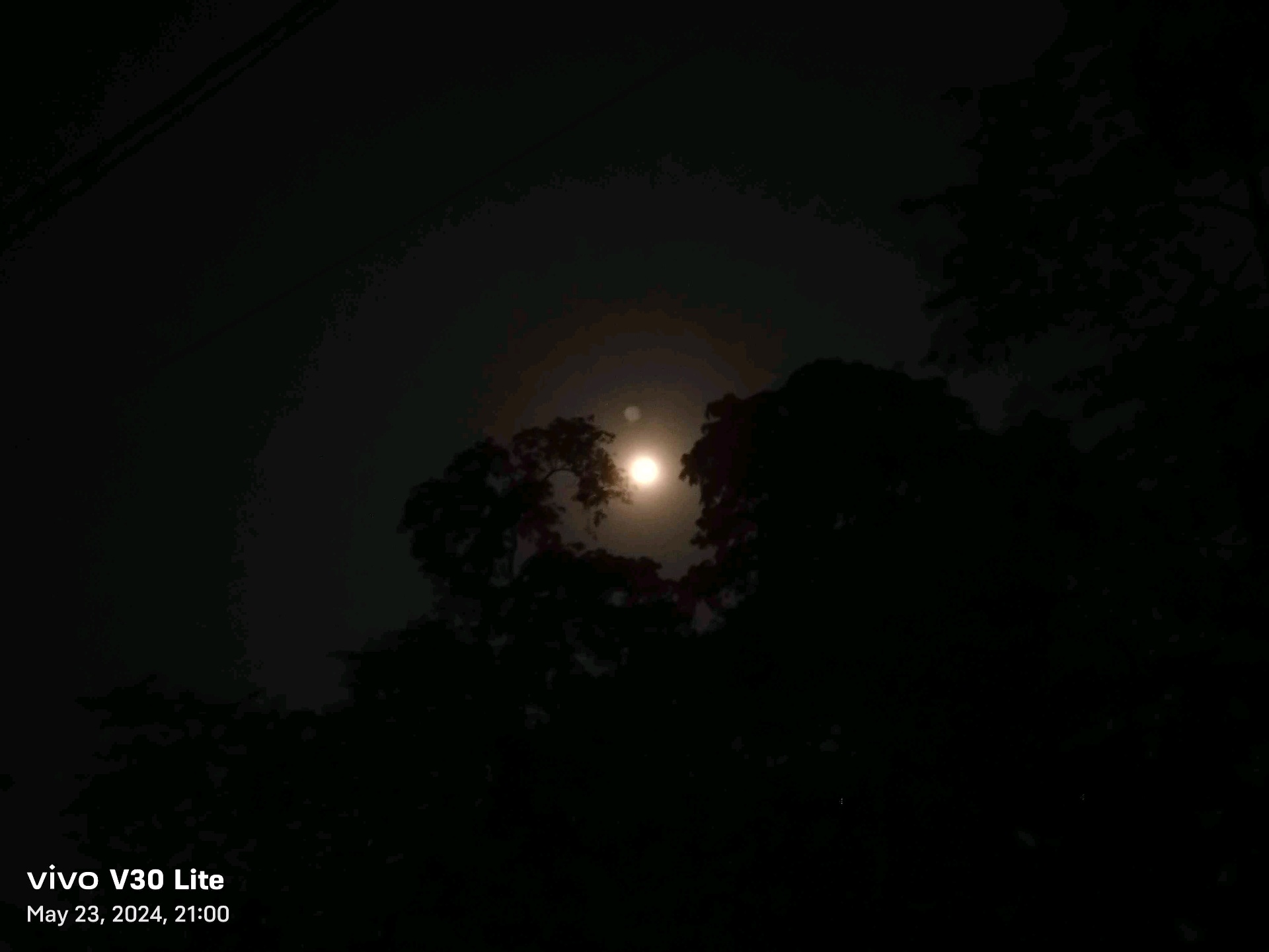 rongoboti (kingmonir.lens) Lens social identity (.lens handle) PFP