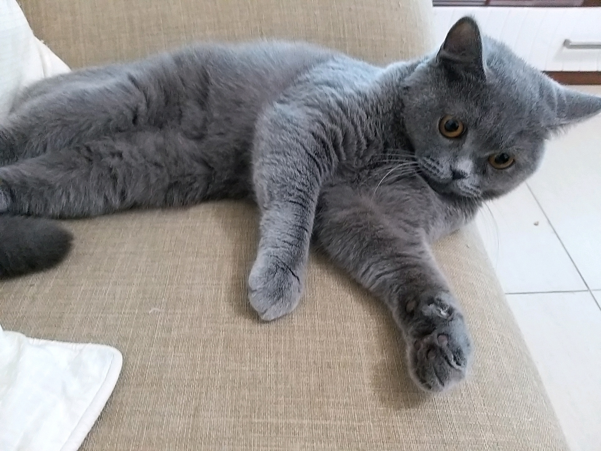 sergs (jongerrel.lens) Lens social identity (.lens handle) PFP