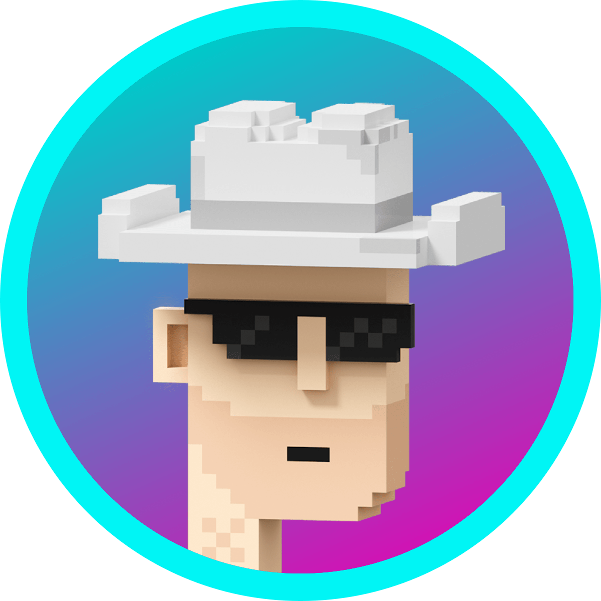 voxelpunks.lens Lens social identity (.lens handle) PFP