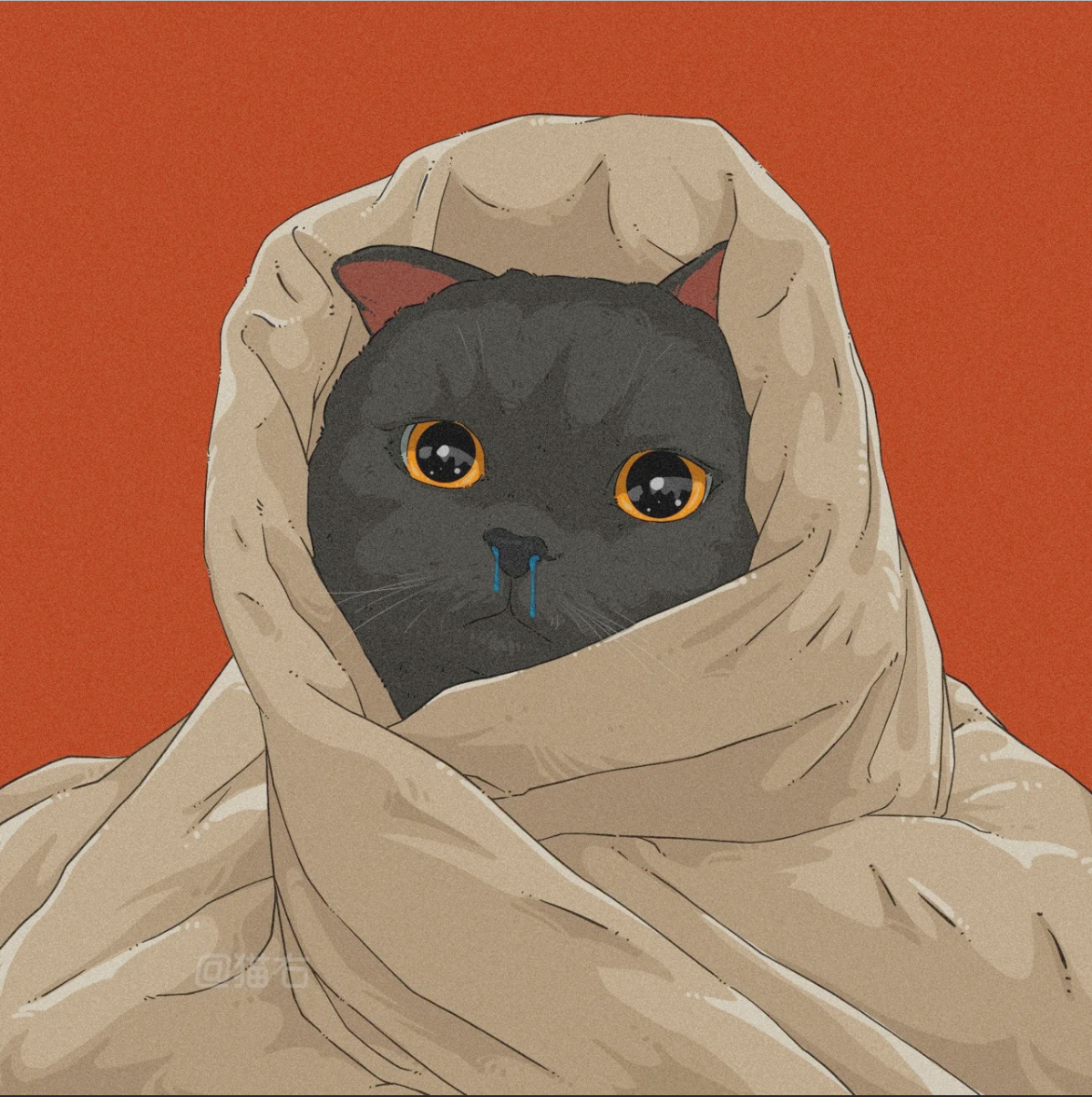 0xsilas.eth Ethereum Name Service (ENS and .eth domain) PFP