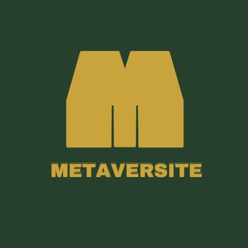 Metaversité (0xmetaversite.lens) Lens social identity (.lens handle) PFP