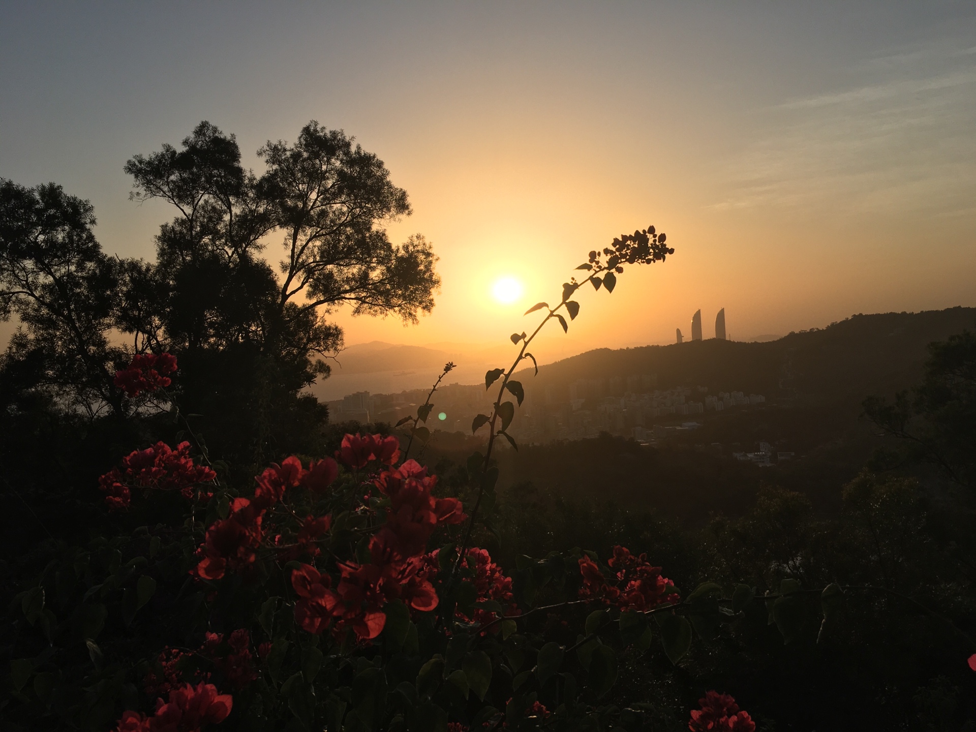 mocadao (mocada.lens) Lens social identity (.lens handle) PFP