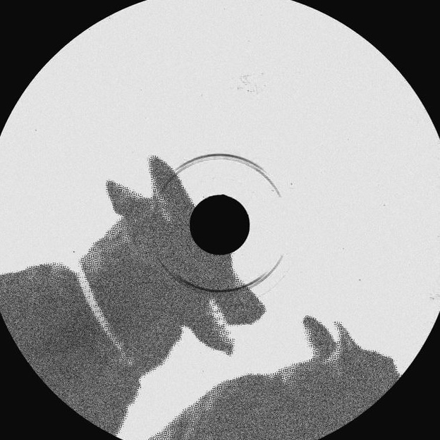 Lootmatic (lootmatic.lens) Lens social identity (.lens handle) PFP