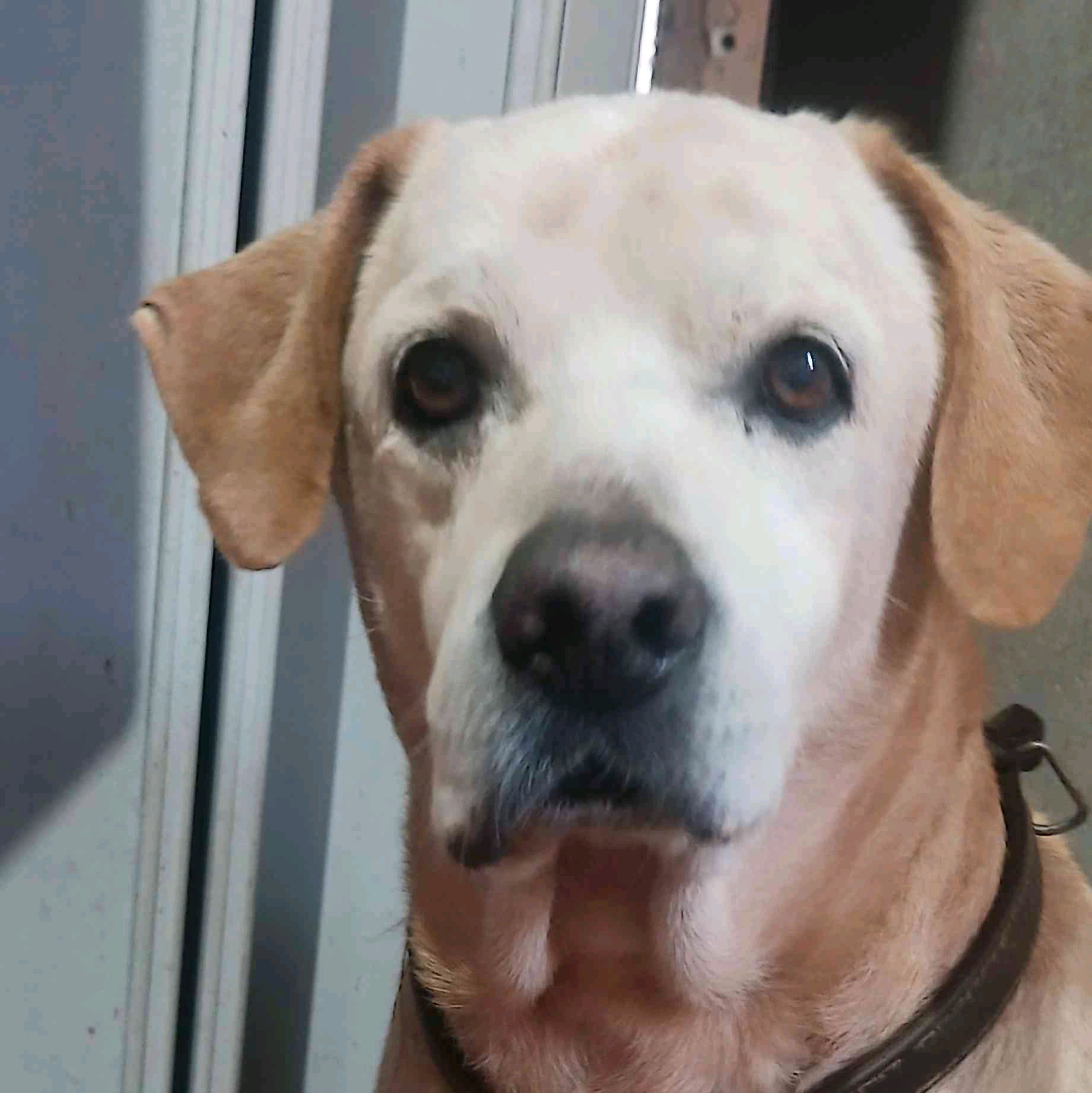 Eduardo Campos (educampos.lens) Lens social identity (.lens handle) PFP