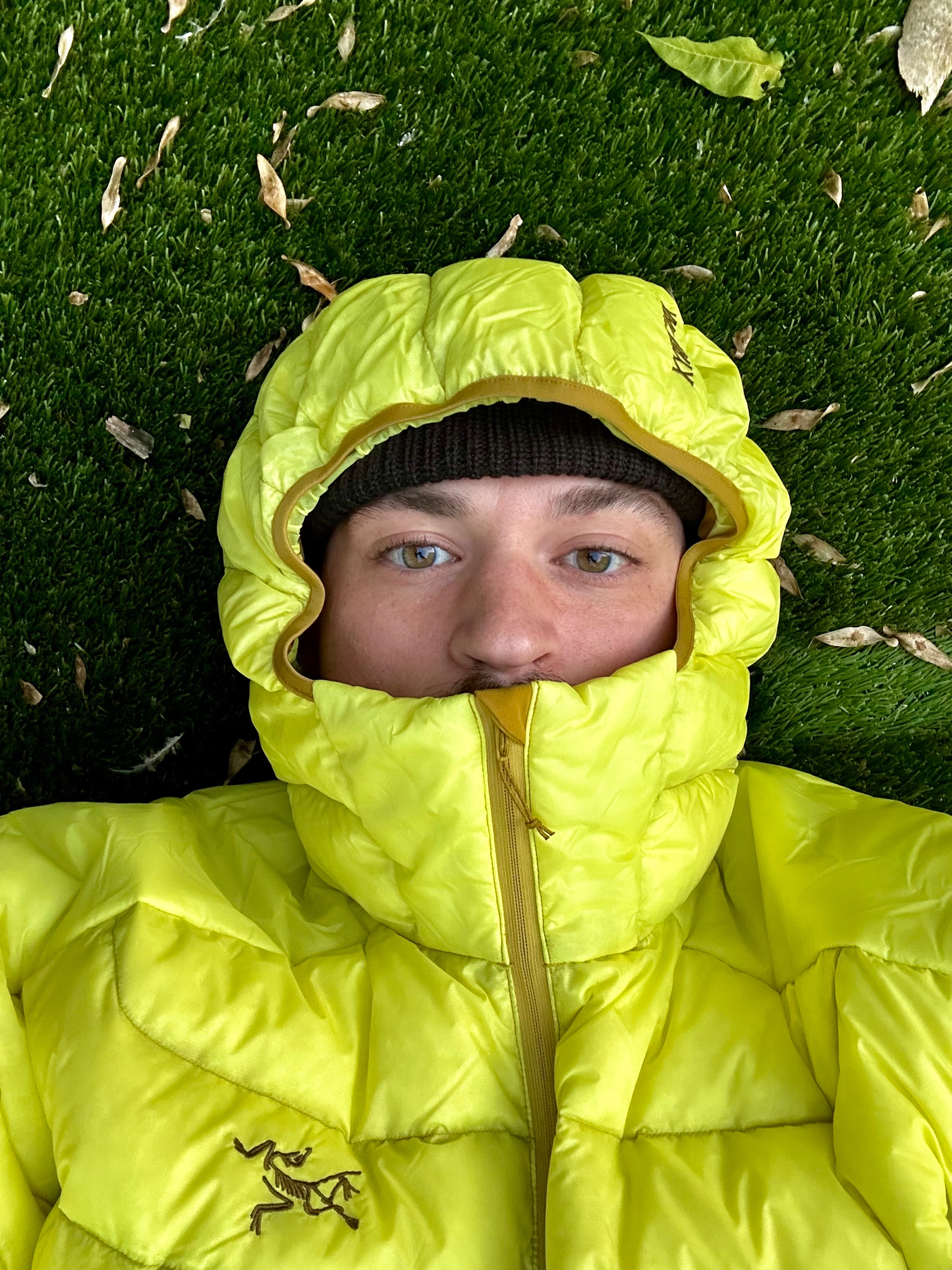 jack (volcasample.lens) Lens social identity (.lens handle) PFP