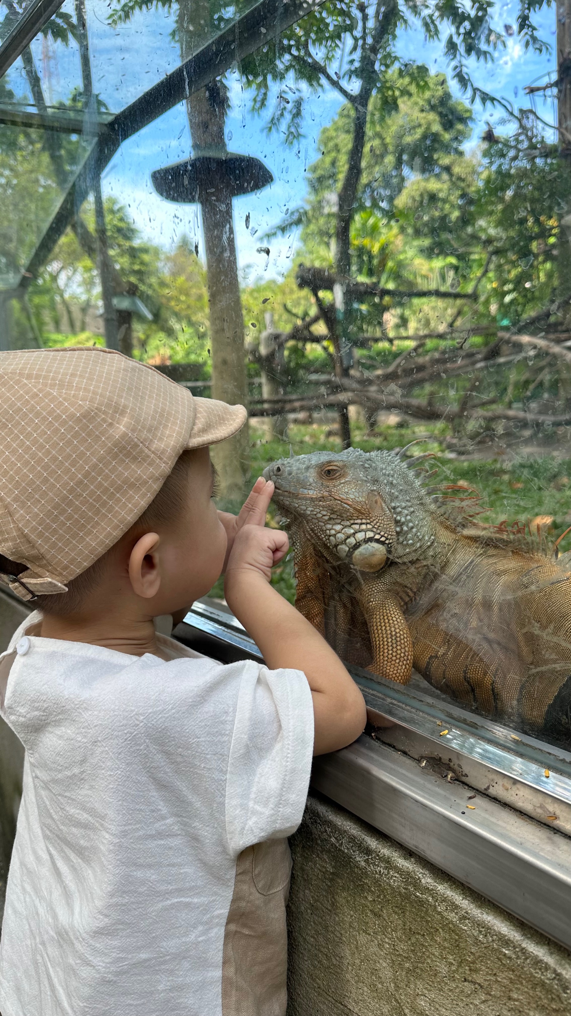 Feb (lingh.lens) Lens social identity (.lens handle) PFP