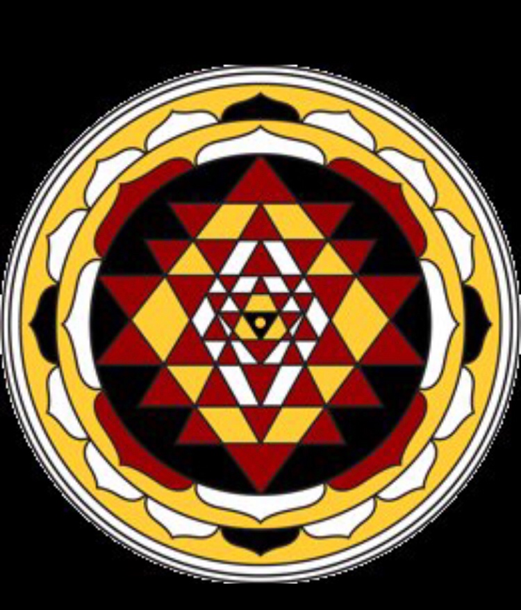 Neeraja (neera.lens) Lens social identity (.lens handle) PFP