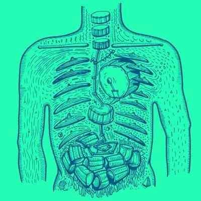 Palmar (palmar.lens) Lens social identity (.lens handle) PFP