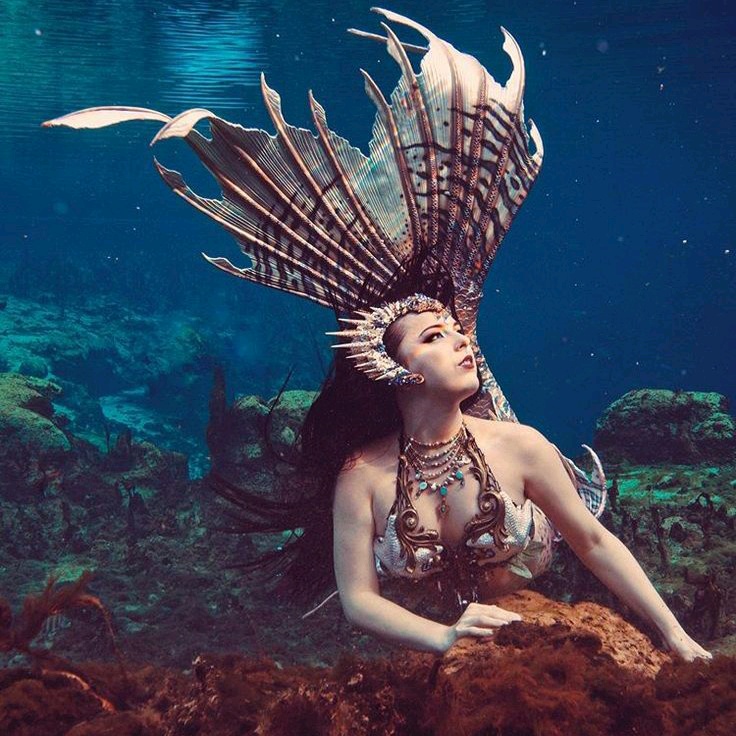 Madan (elkos.lens) Lens social identity (.lens handle) PFP