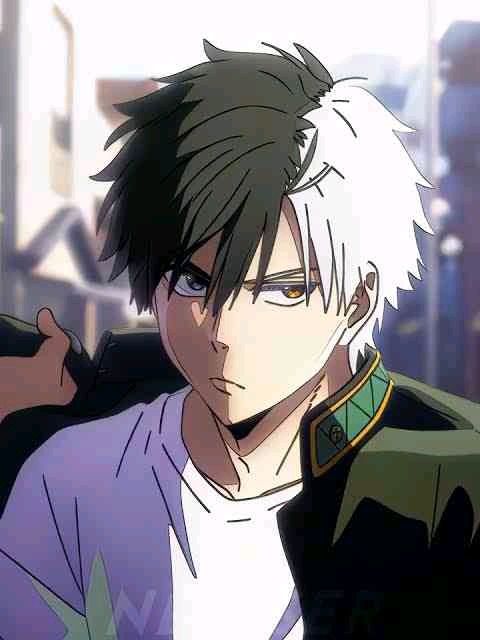 artezzy (artezzy.lens) Lens social identity (.lens handle) PFP