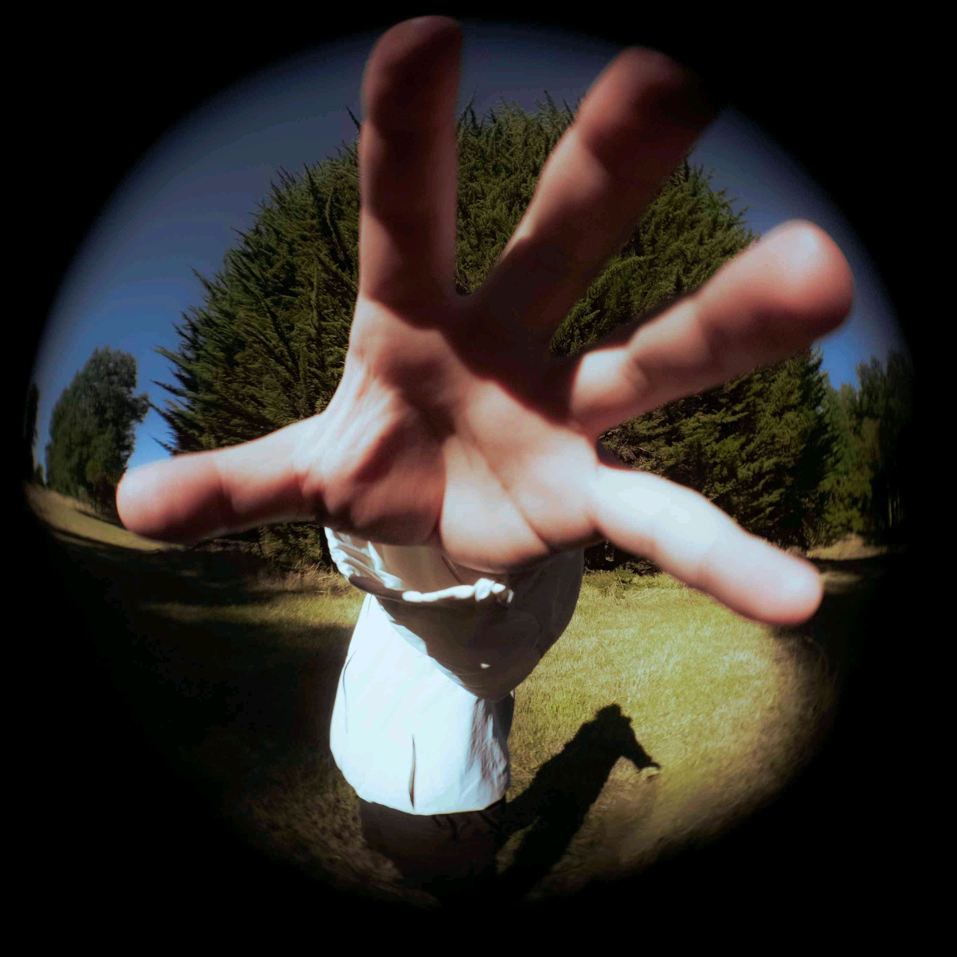 colreev.lens Lens social identity (.lens handle) PFP