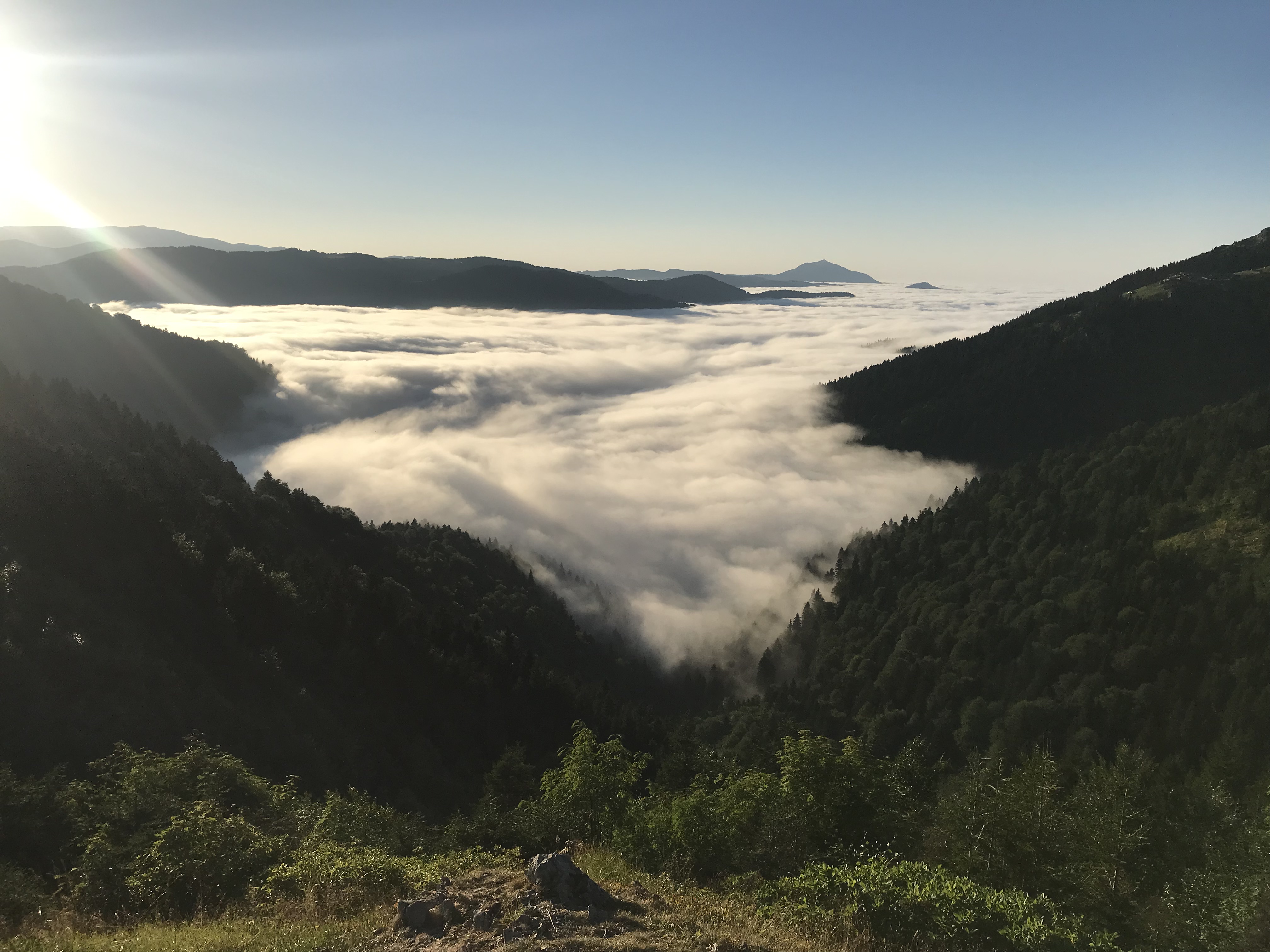 Emre (ylmzemr.lens) Lens social identity (.lens handle) PFP