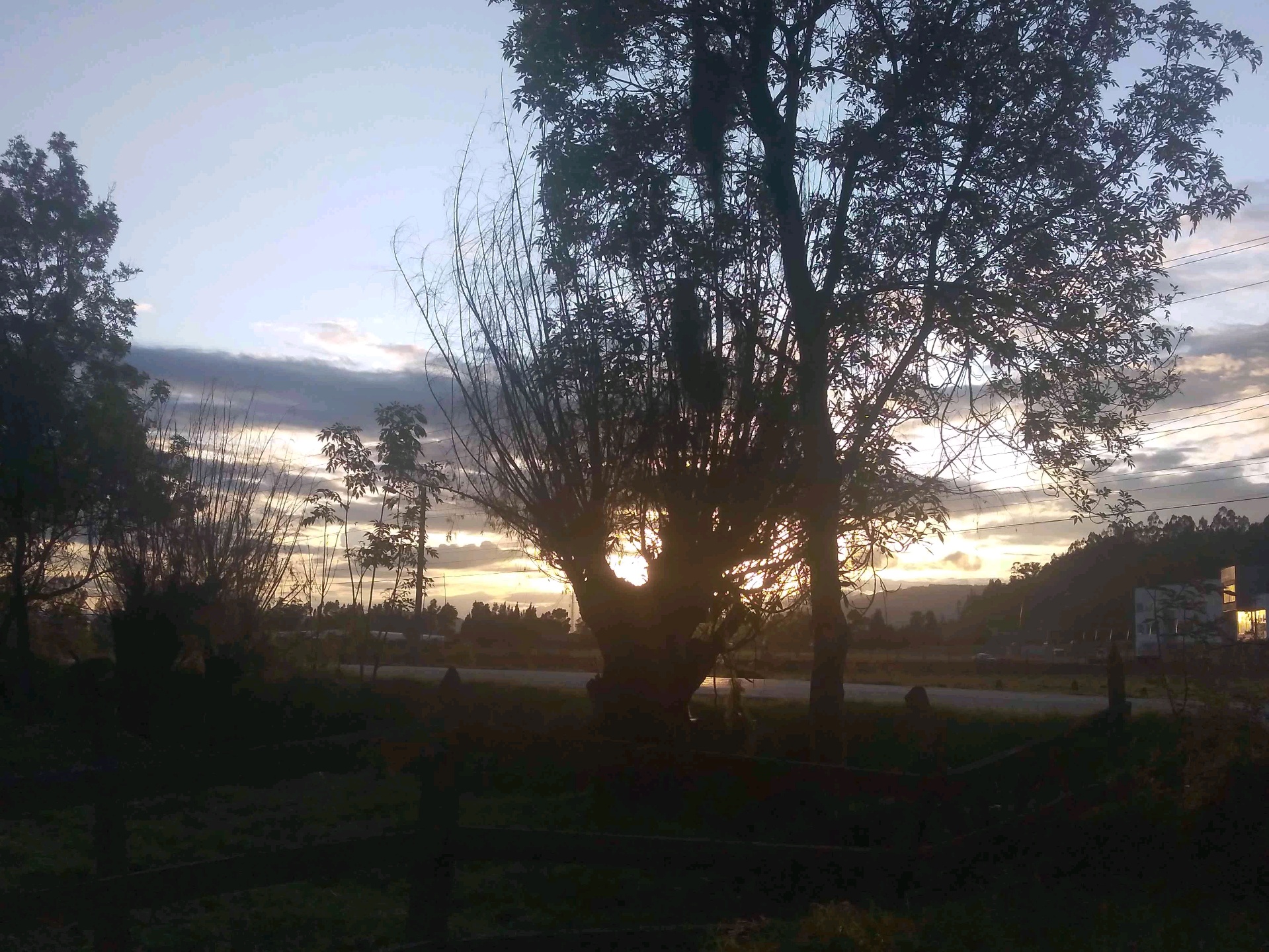 fernandoNFT (fernando82.lens) Lens social identity (.lens handle) PFP