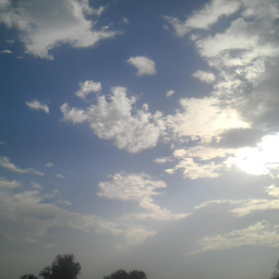 दानिया रीाग्रेश् (davina.lens) Lens social identity (.lens handle) PFP