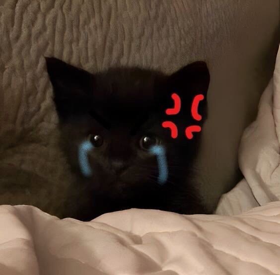 Cry4me (xpark.lens) Lens social identity (.lens handle) PFP