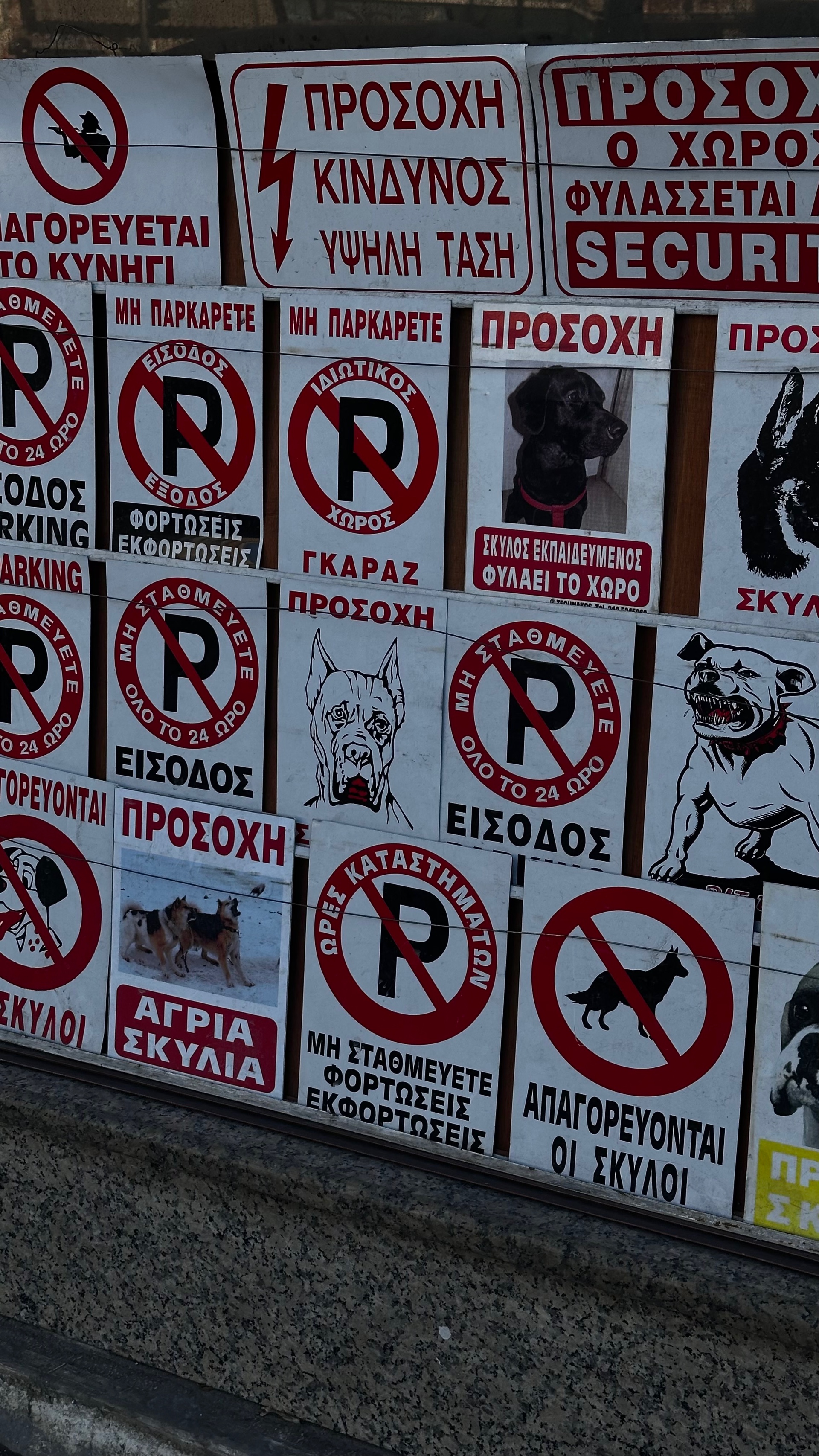 Imvrtk (imvrtk.lens) Lens social identity (.lens handle) PFP