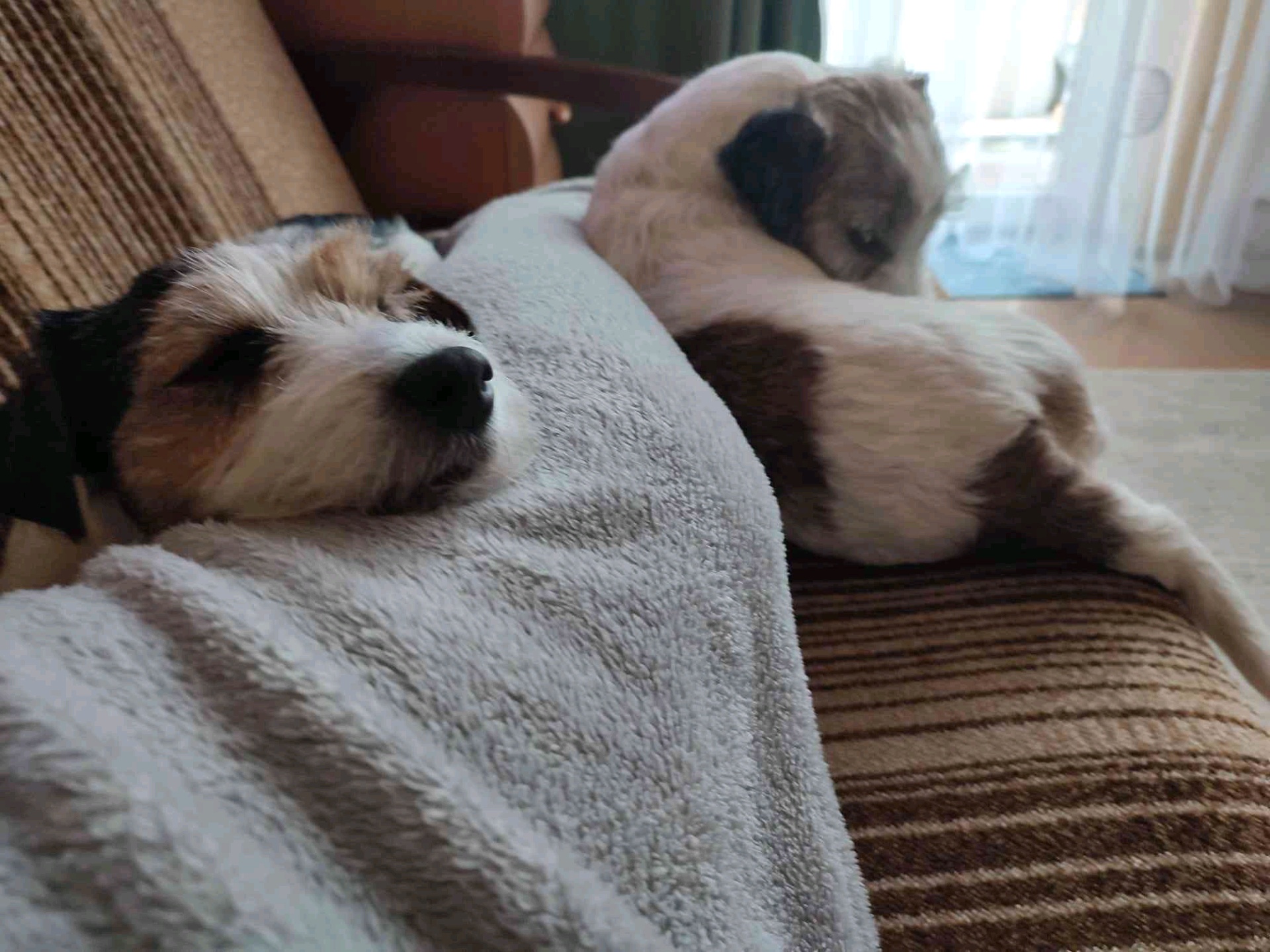 Maciej (jodator.lens) Lens social identity (.lens handle) PFP