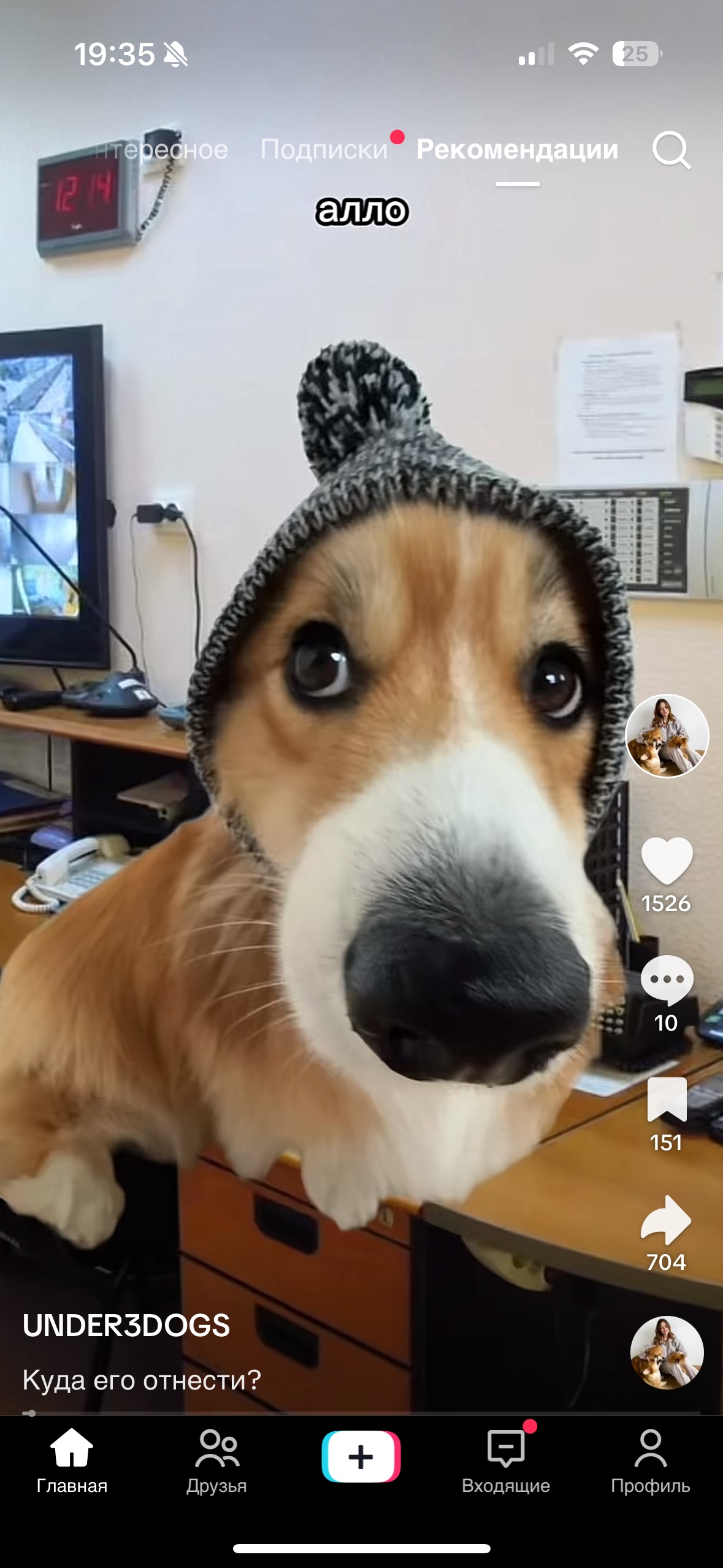 Alex (cakezz.lens) Lens social identity (.lens handle) PFP