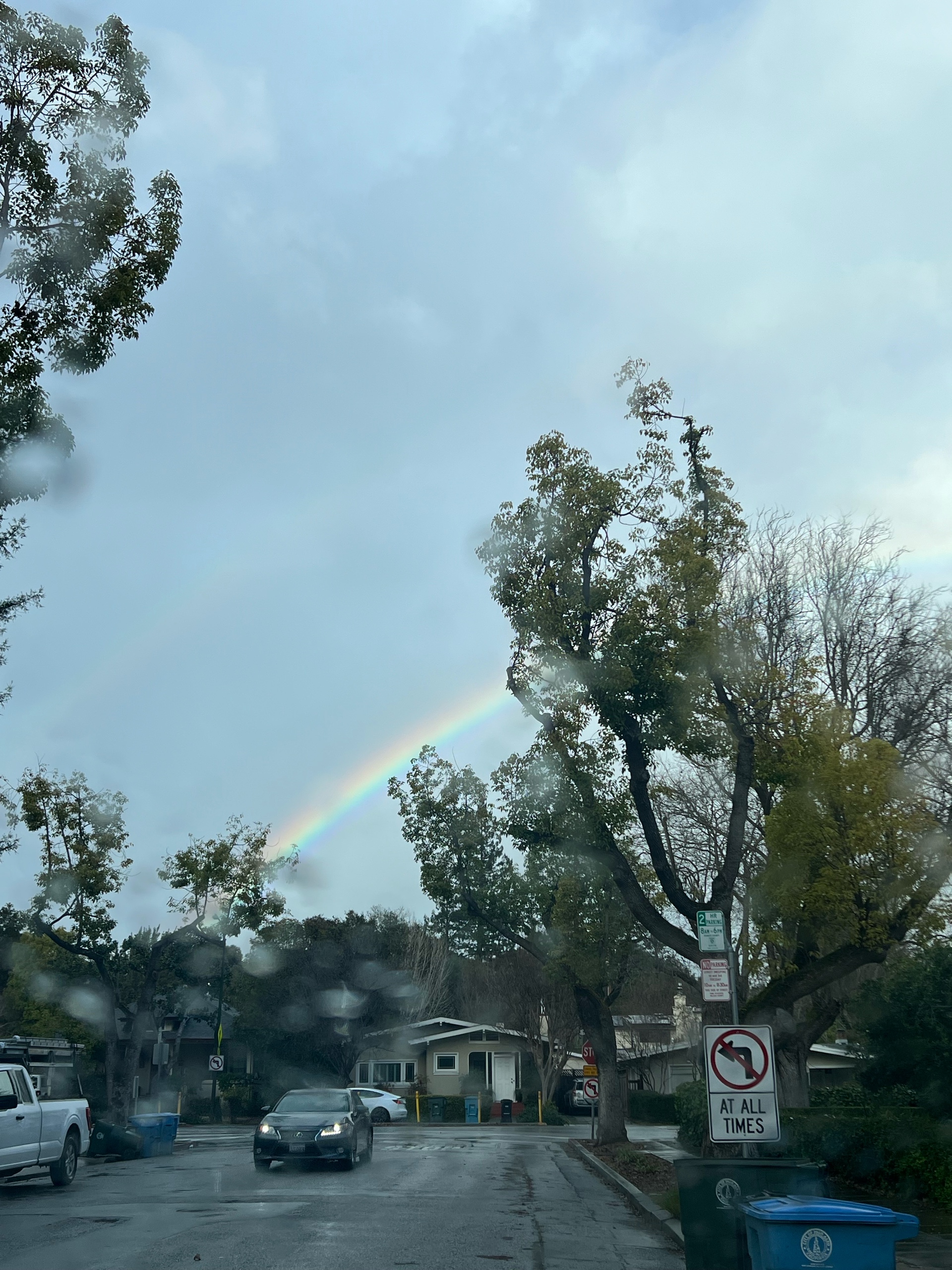 Ricky (rickyzw.lens) Lens social identity (.lens handle) PFP