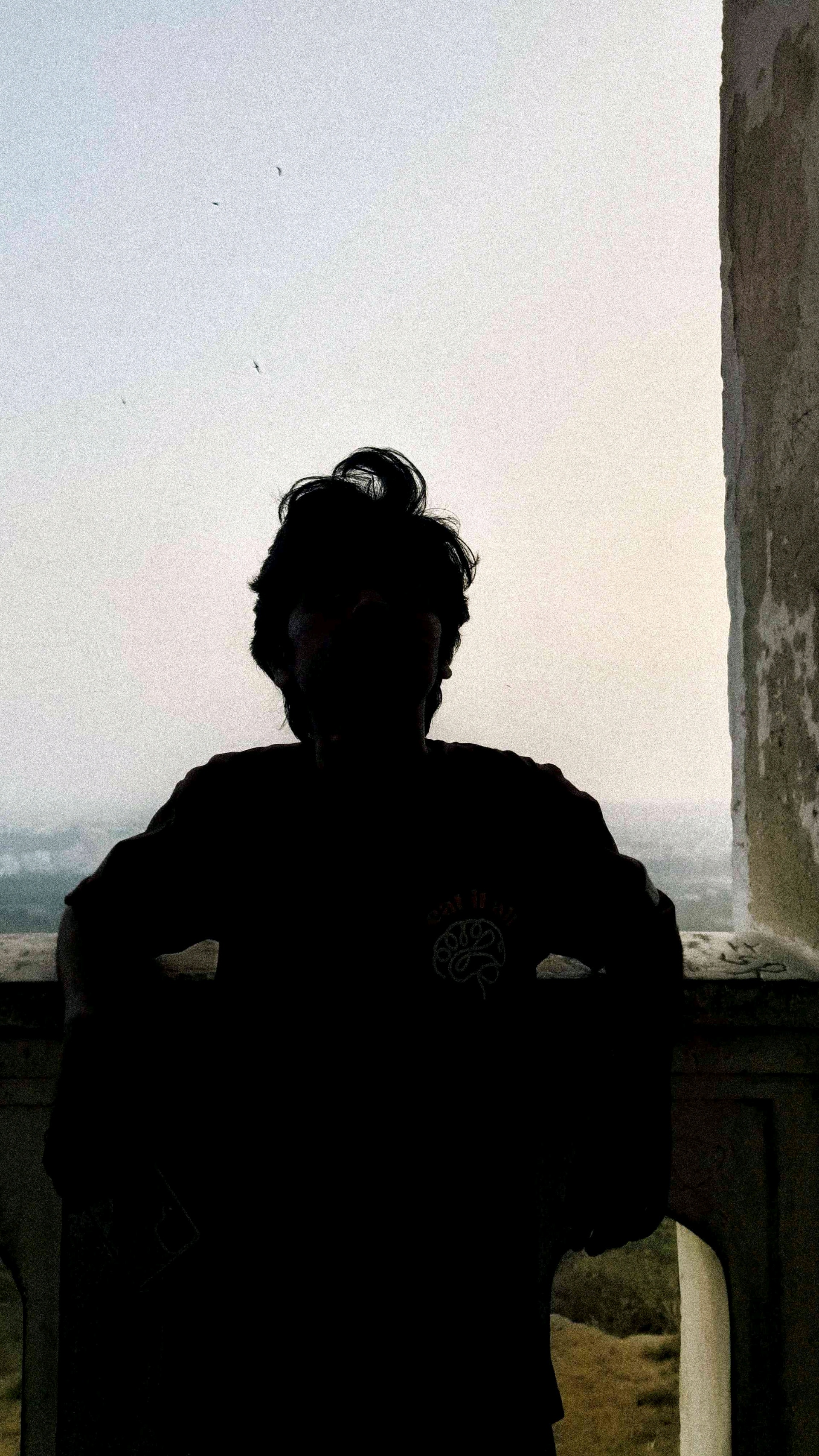 Apex Aryan (apexy.lens) Lens social identity (.lens handle) PFP